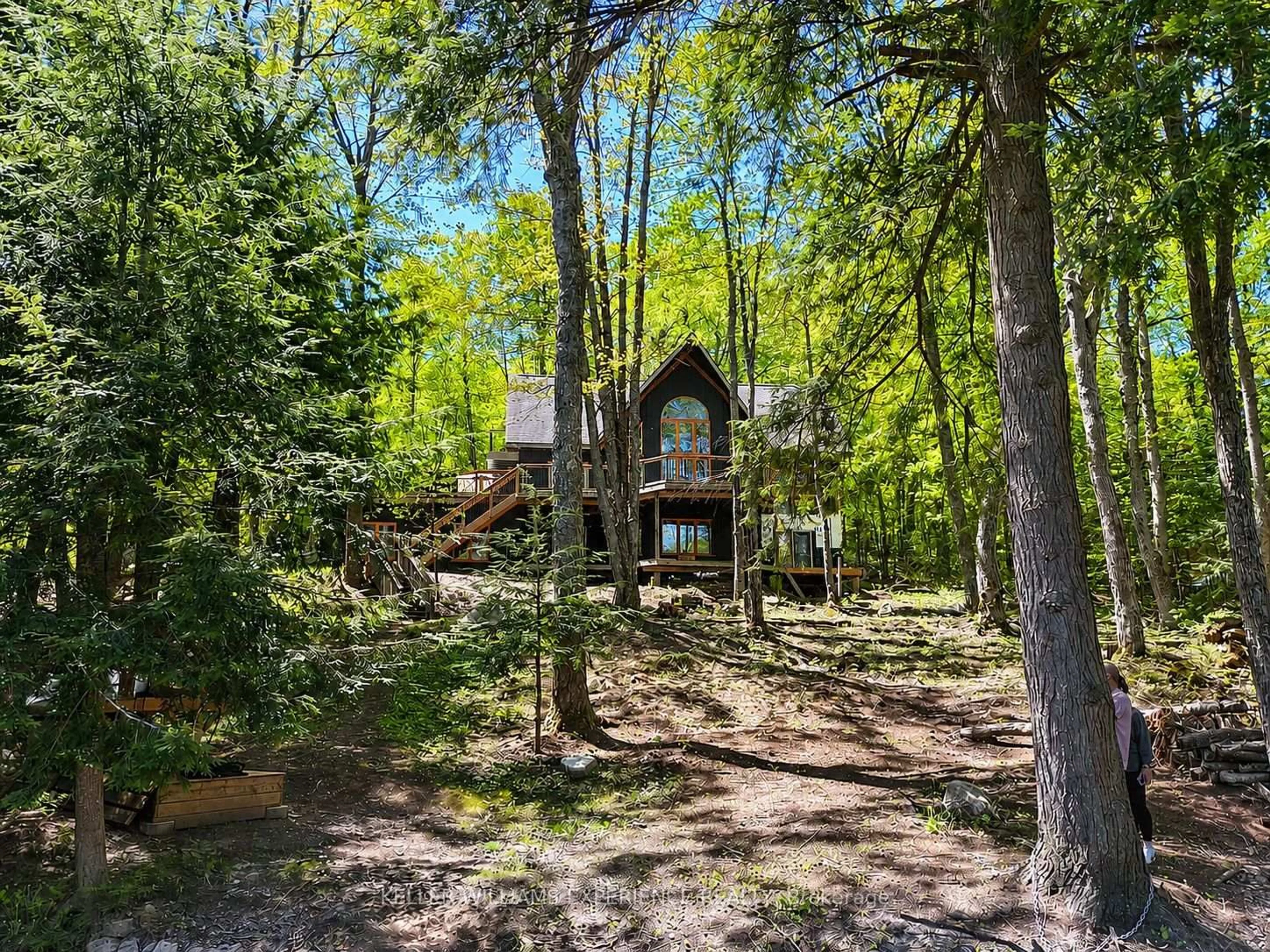 A pic from outside/outdoor area/front of a property/back of a property/a pic from drone, forest/trees view for 1115 Sherwood Forest Rd, Bracebridge Ontario P1L 1X3