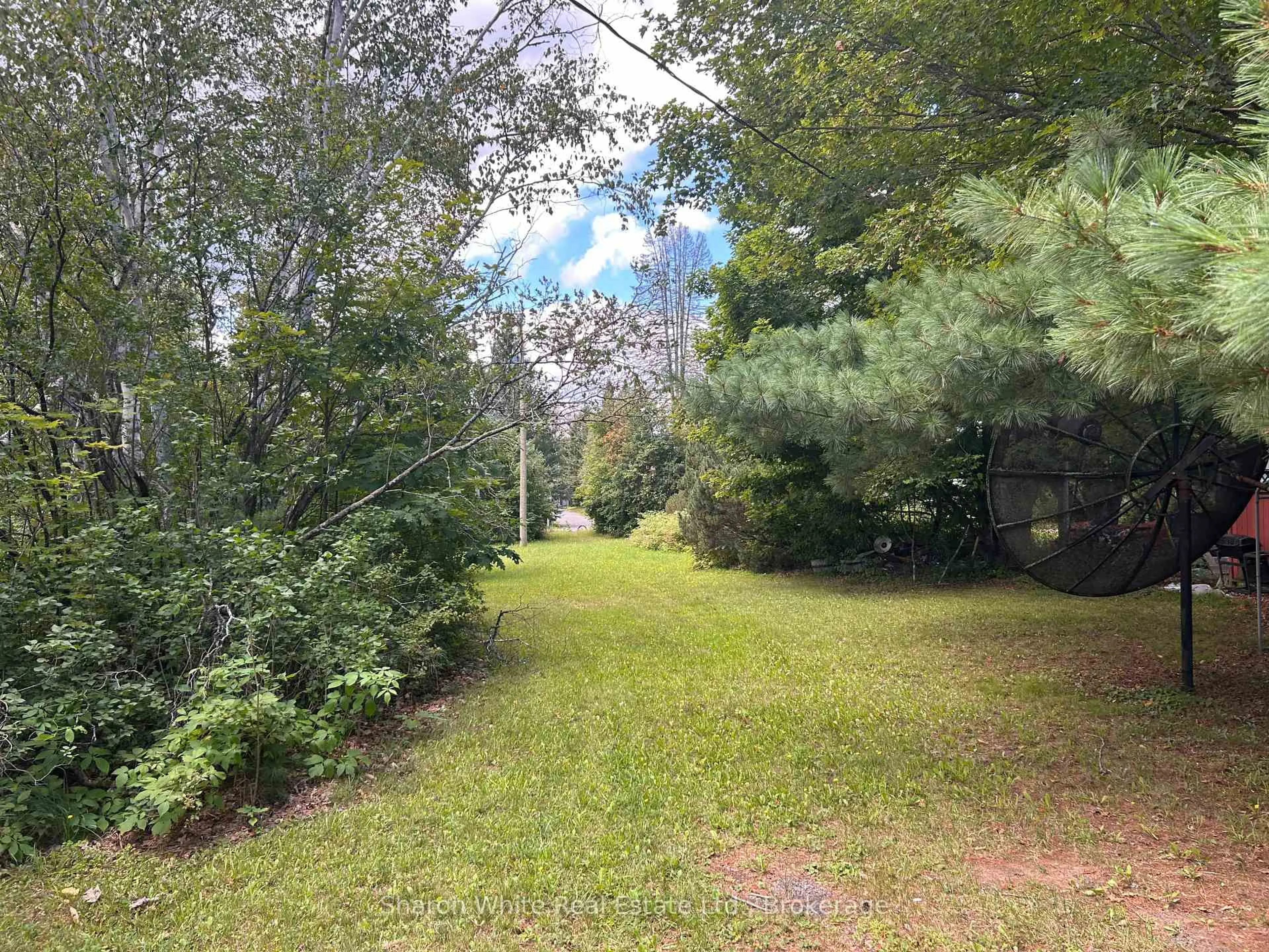 A pic from outside/outdoor area/front of a property/back of a property/a pic from drone, forest/trees view for 310 Hastings St, Bancroft Ontario K0L 1C0