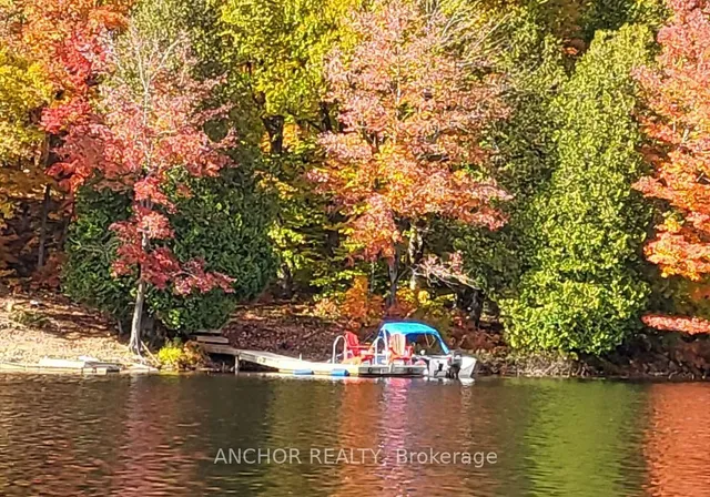 550 Shawanaga Lake, McDougall 5