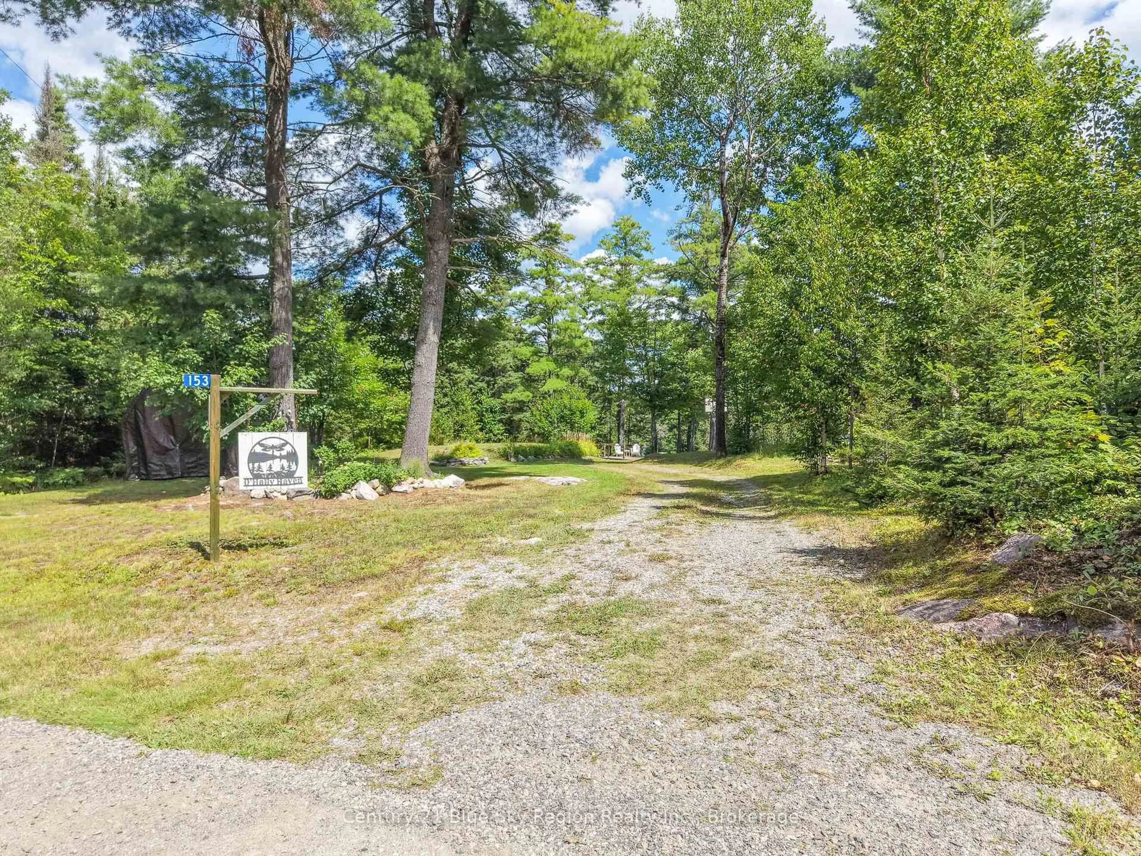 A pic from outside/outdoor area/front of a property/back of a property/a pic from drone, forest/trees view for 153 White Pine Rd, Unorganized Townships Ontario P0H 2K0