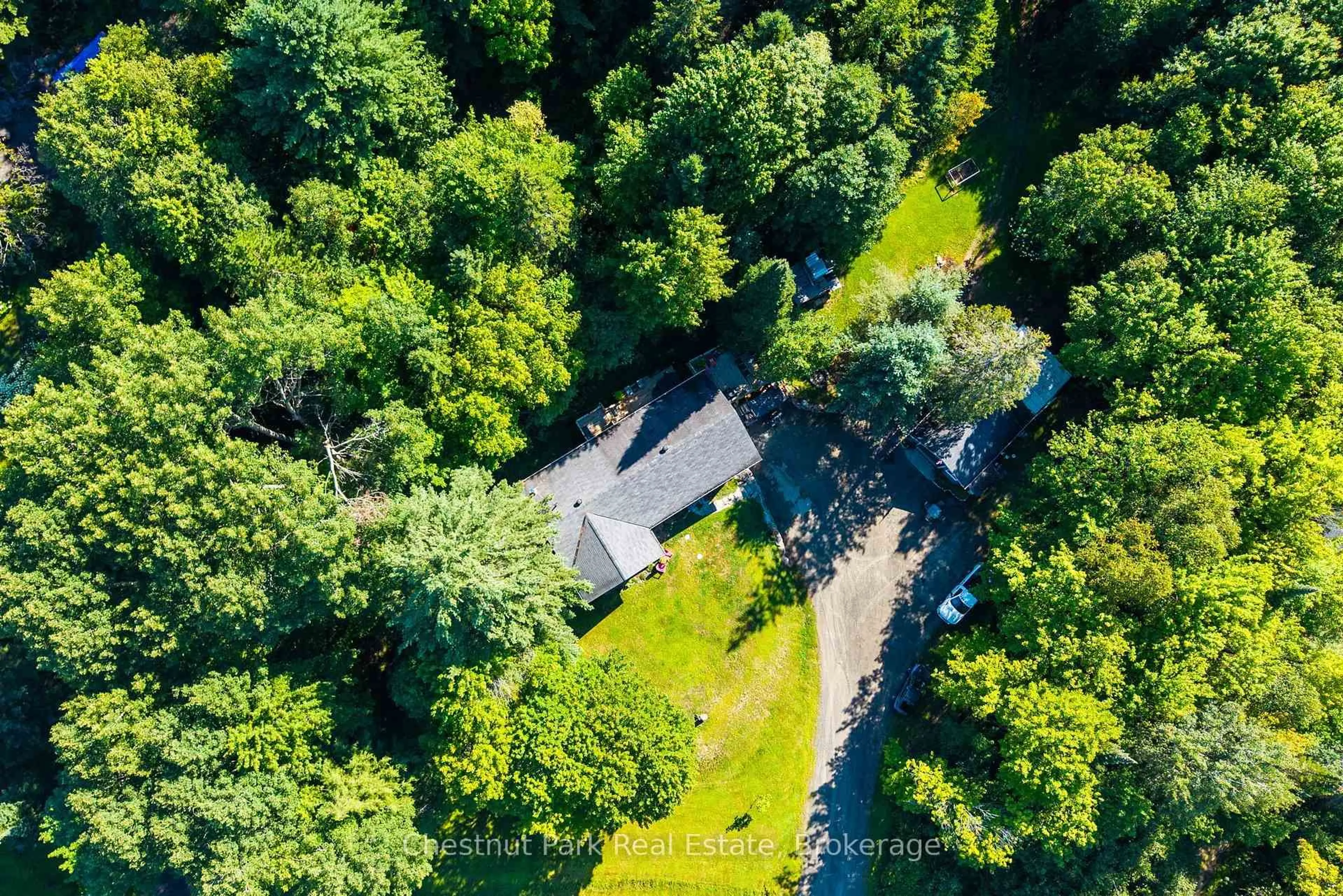 A pic from outside/outdoor area/front of a property/back of a property/a pic from drone, forest/trees view for 521 Old Muskoka Rd, Huntsville Ontario P1H 0G8