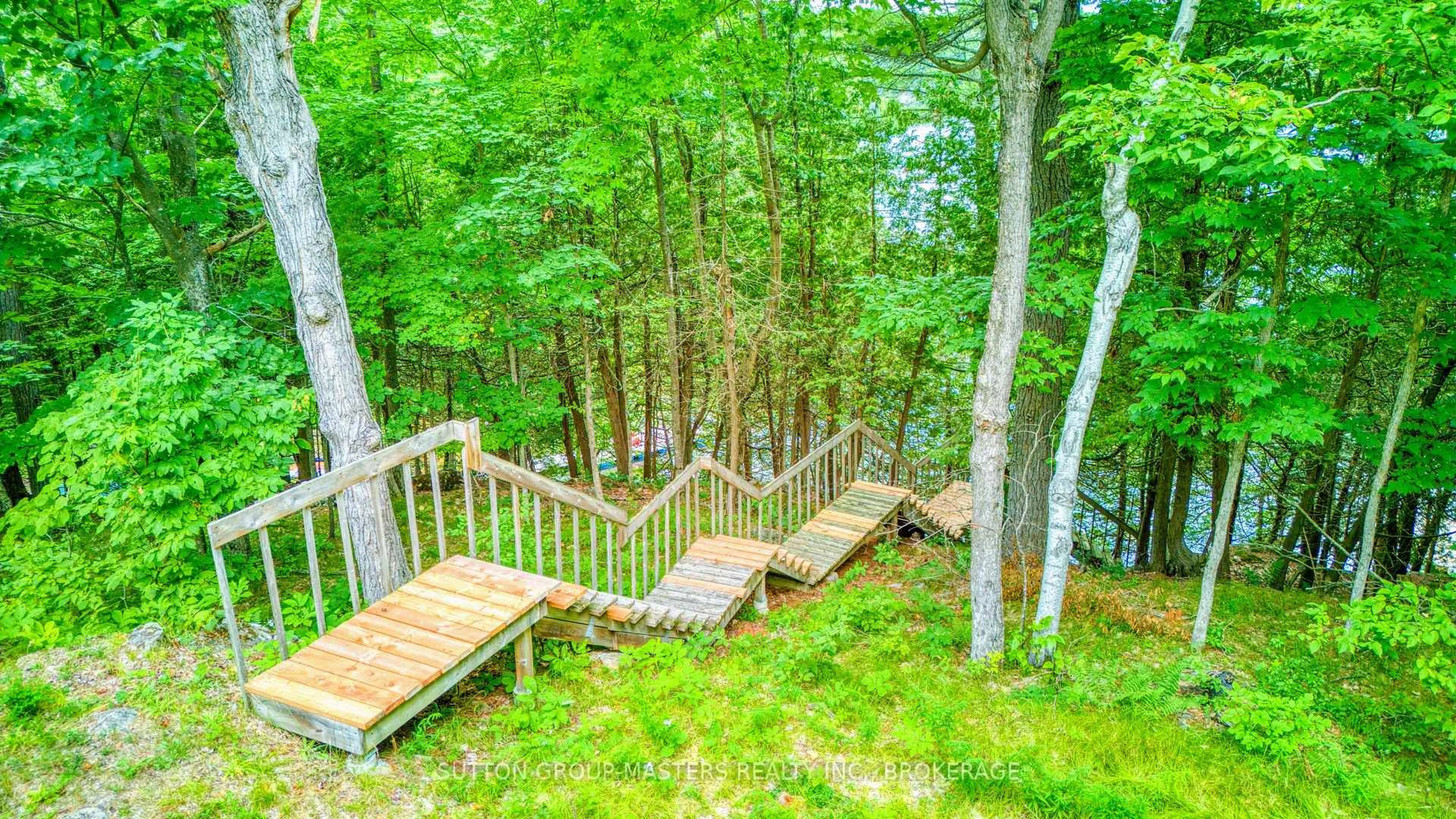 A pic from outside/outdoor area/front of a property/back of a property/a pic from drone, forest/trees view for 6559 Salmon Lake Rd, Sydenham Ontario K0H 2T0