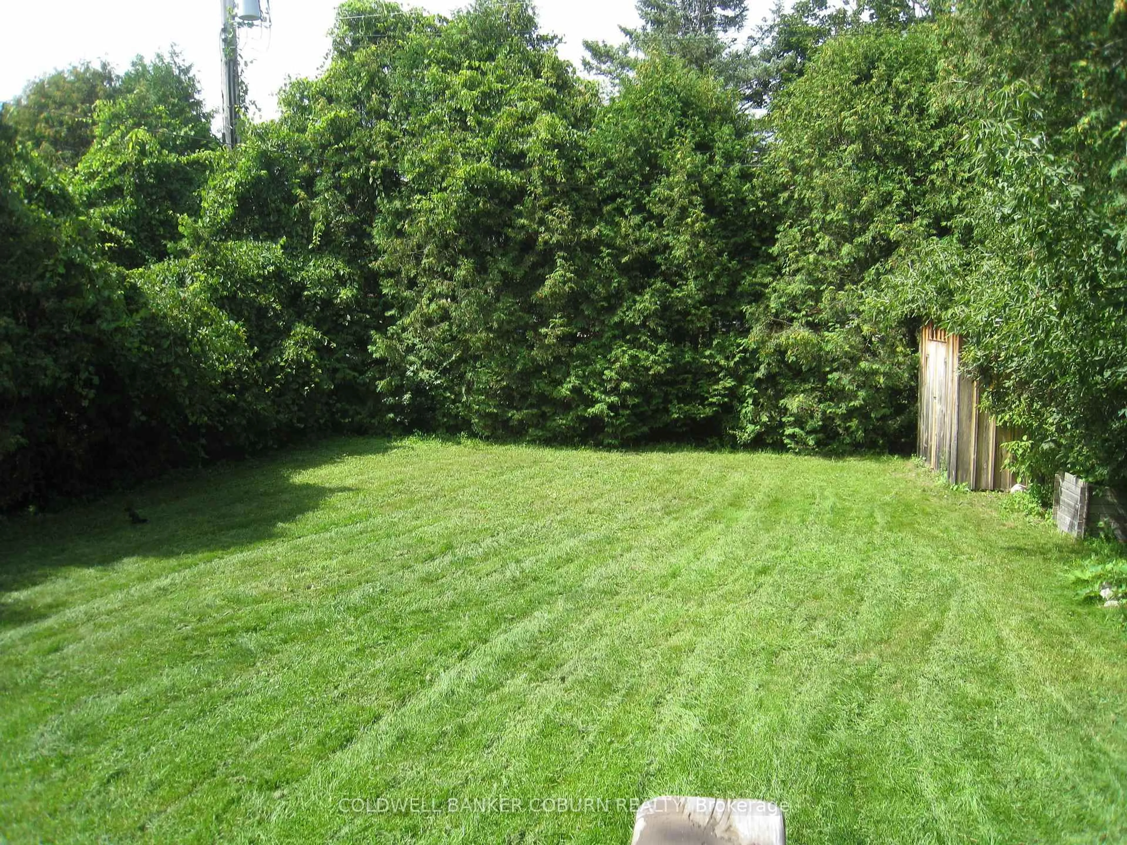 A pic from outside/outdoor area/front of a property/back of a property/a pic from drone, forest/trees view for 13 Queen St, North Grenville Ontario K0G 1J0