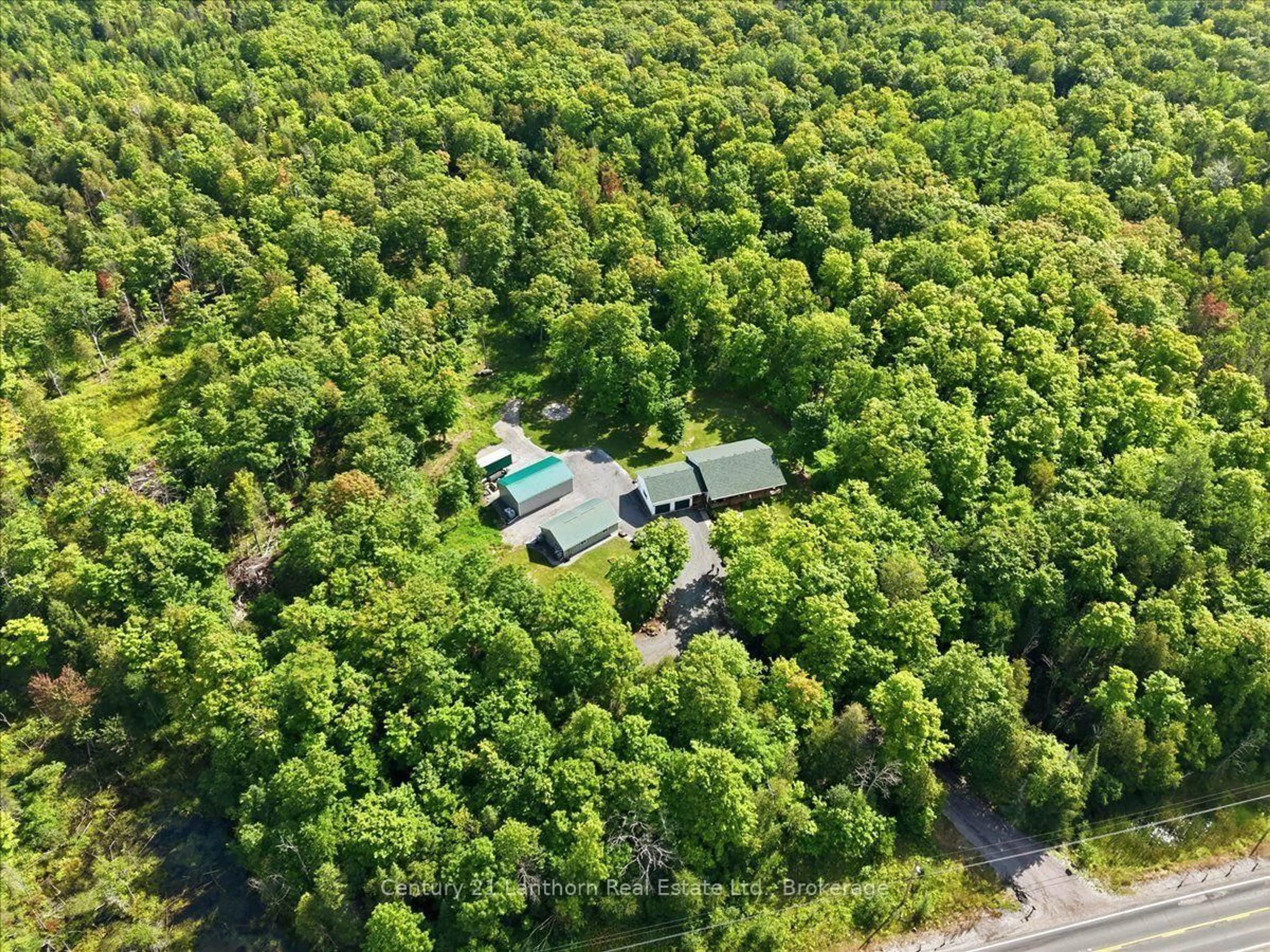A pic from outside/outdoor area/front of a property/back of a property/a pic from drone, forest/trees view for 18448 Highway 62, Madoc Ontario K0K 1Y0