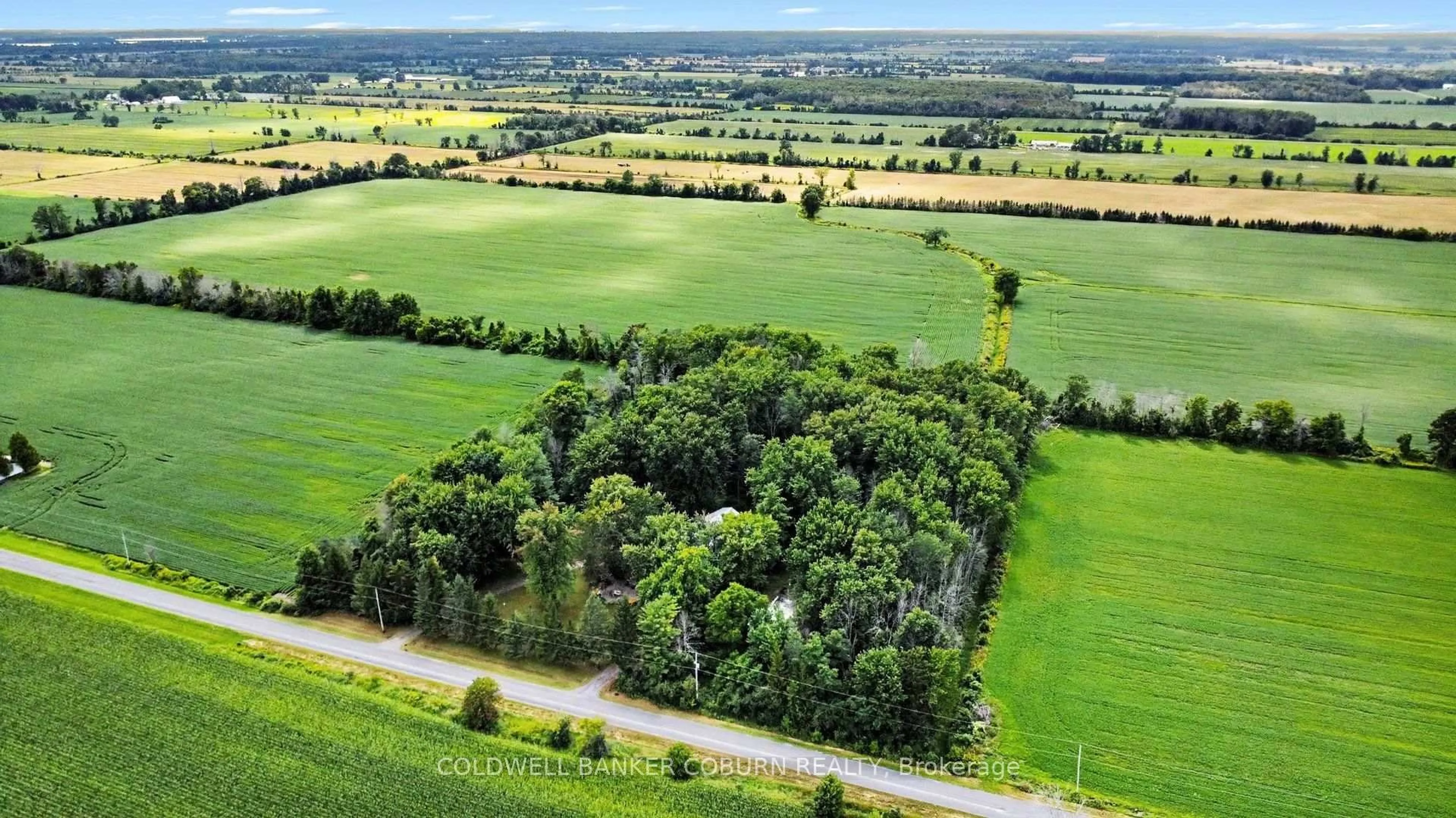 A pic from outside/outdoor area/front of a property/back of a property/a pic from drone, forest/trees view for 4808 Flagg Rd, South Dundas Ontario K0E 1K0