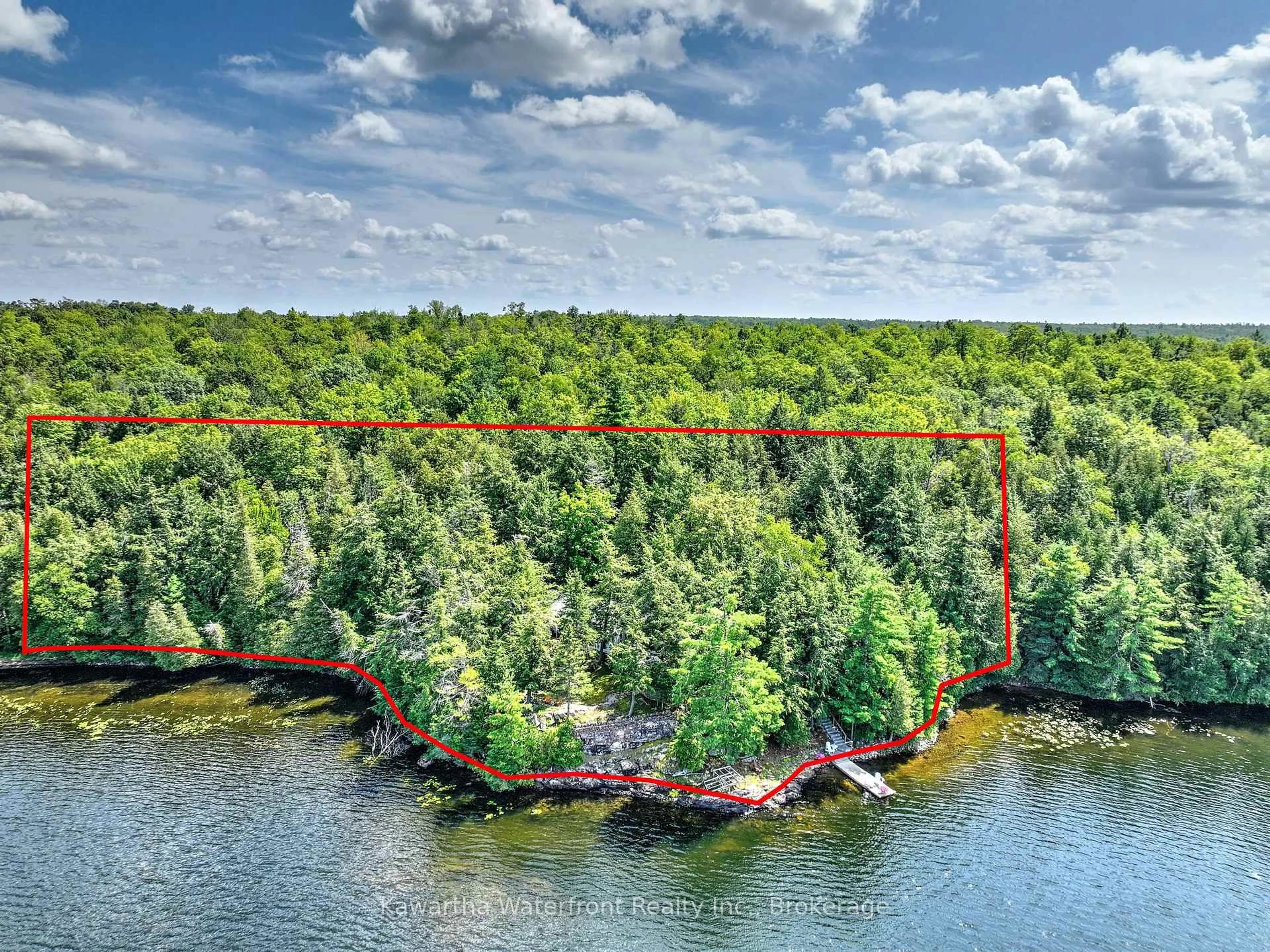 A pic from outside/outdoor area/front of a property/back of a property/a pic from drone, forest/trees view for 31 Buck Lane, Kawartha Lakes Ontario K0M 1K0