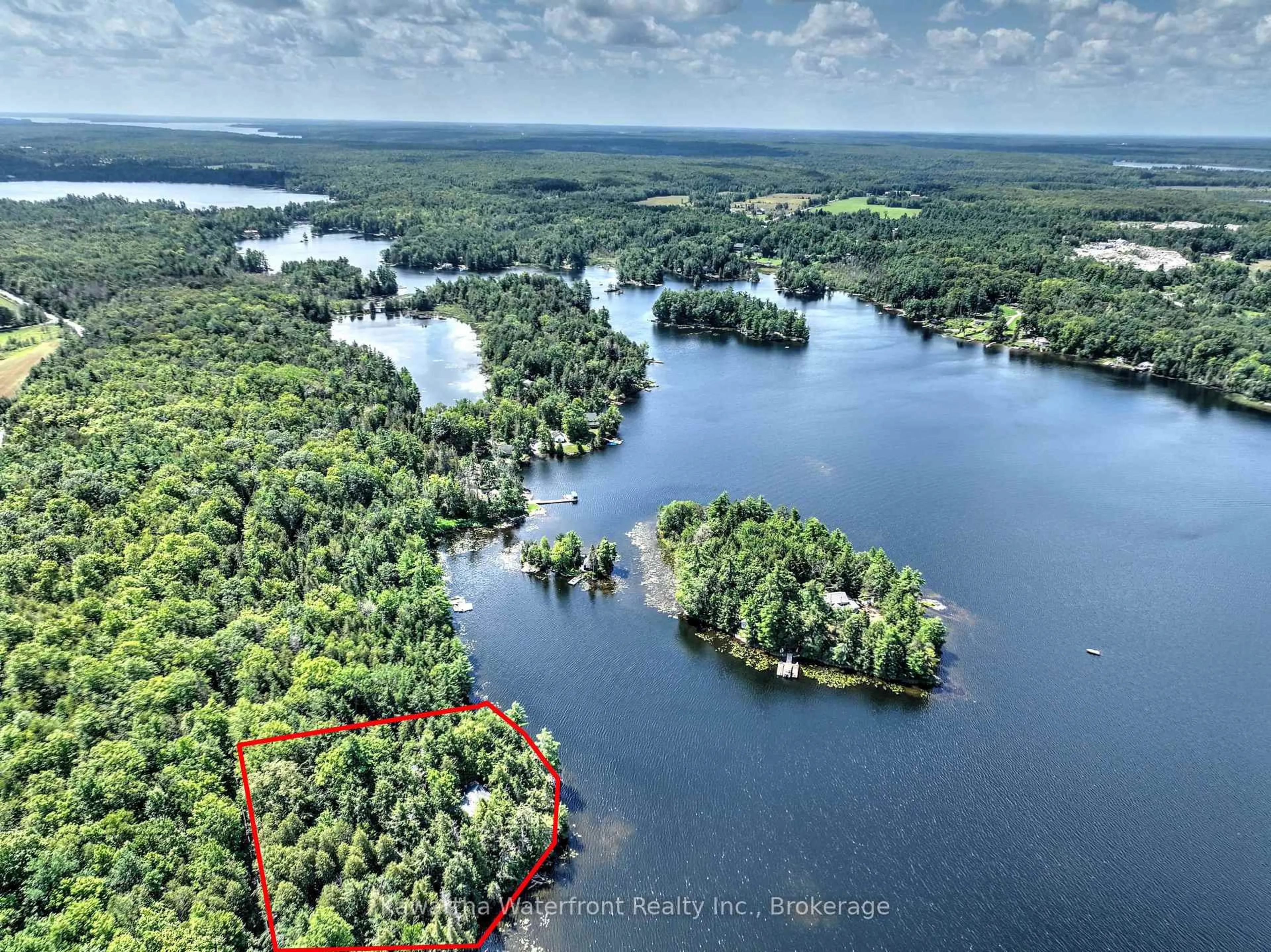 A pic from outside/outdoor area/front of a property/back of a property/a pic from drone, water/lake/river/ocean view for 31 Buck Lane, Kawartha Lakes Ontario K0M 1K0