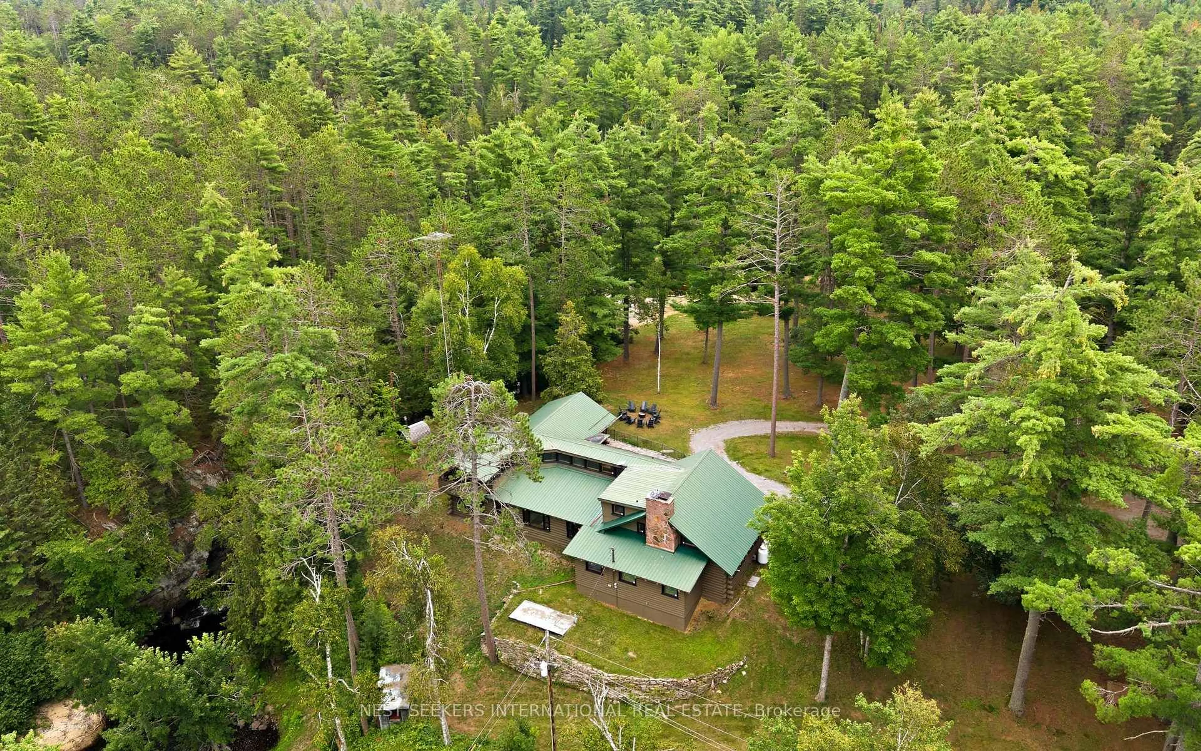 A pic from outside/outdoor area/front of a property/back of a property/a pic from drone, forest/trees view for 7953 Highway 28, North Kawartha Ontario K0L 3E0