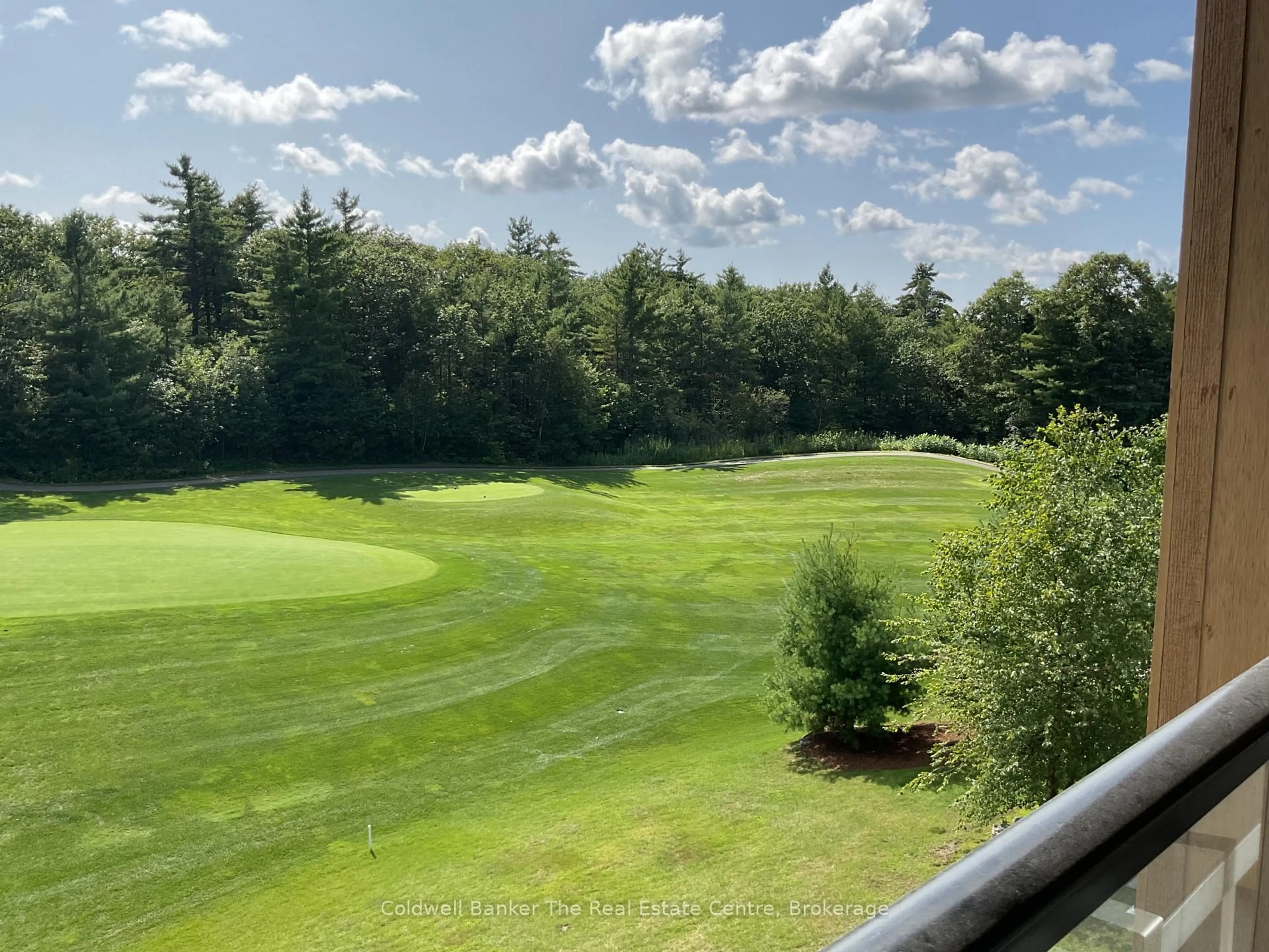 A pic from outside/outdoor area/front of a property/back of a property/a pic from drone, forest/trees view for 120 Carrick Tr #305, Gravenhurst Ontario P1P 0B6
