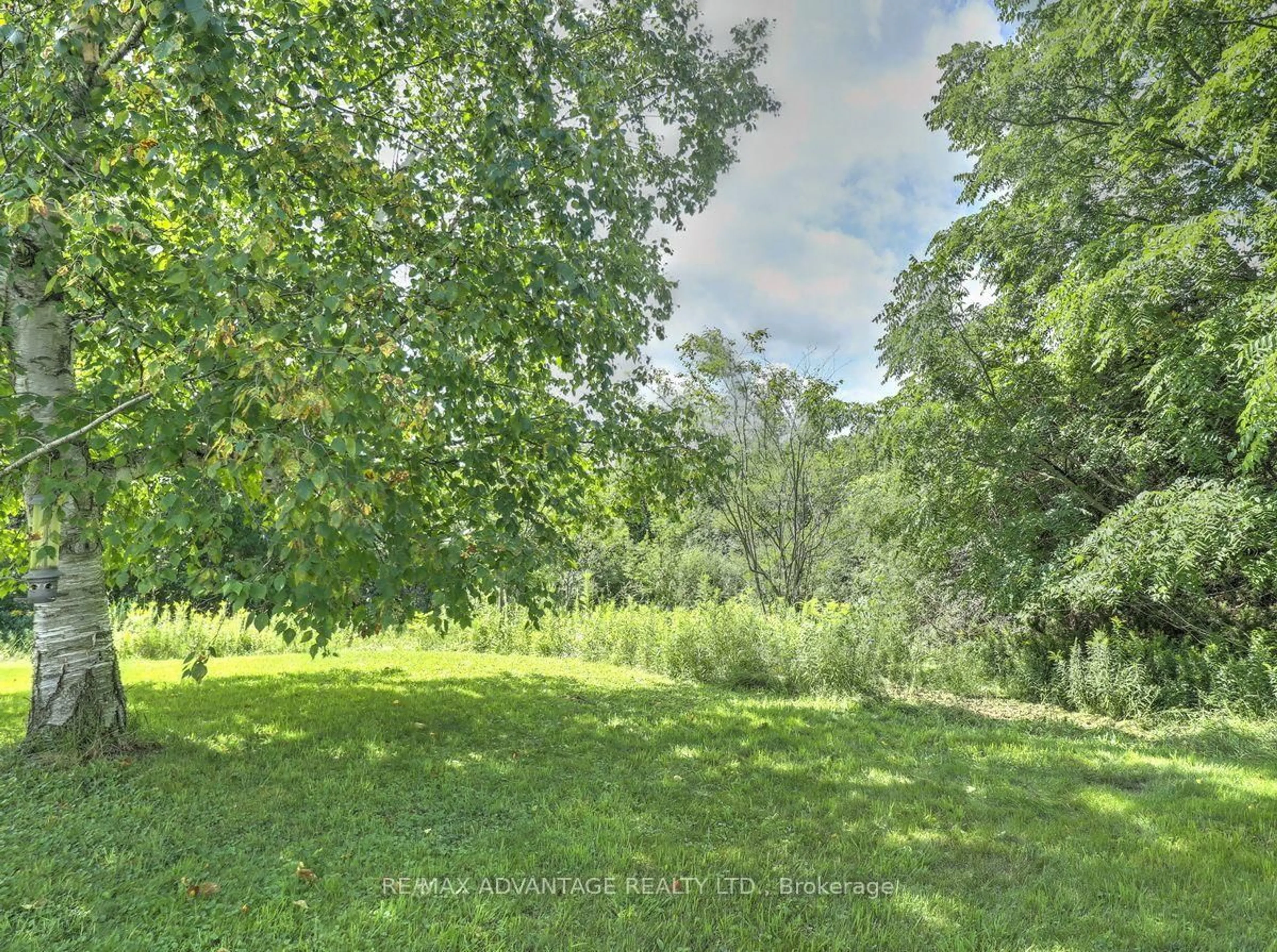 A pic from outside/outdoor area/front of a property/back of a property/a pic from drone, forest/trees view for 45 Agincourt Gdns, London South Ontario N5Z 4E5
