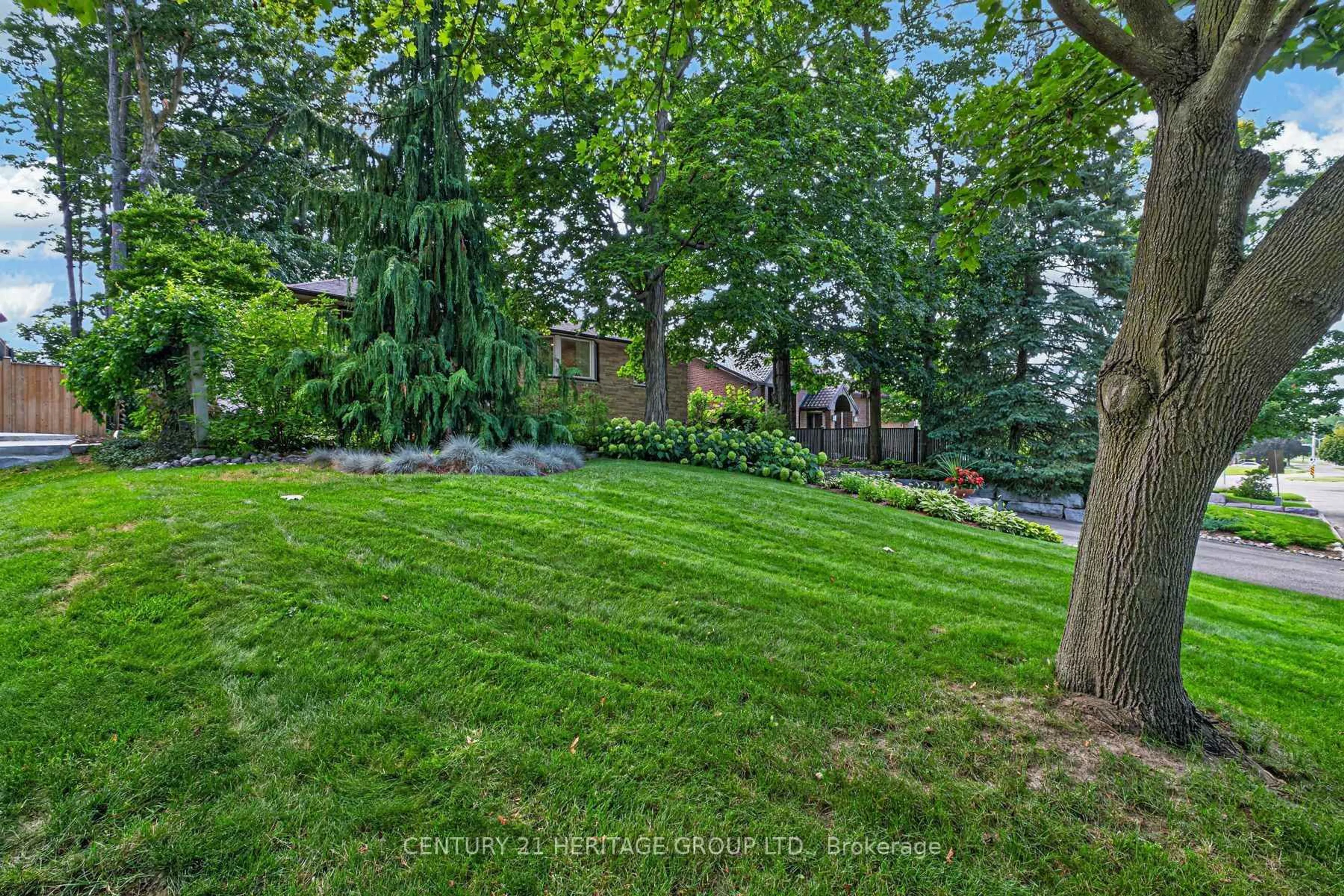 A pic from outside/outdoor area/front of a property/back of a property/a pic from drone, forest/trees view for 245 Corrie Cres, Waterloo Ontario N2L 5W3