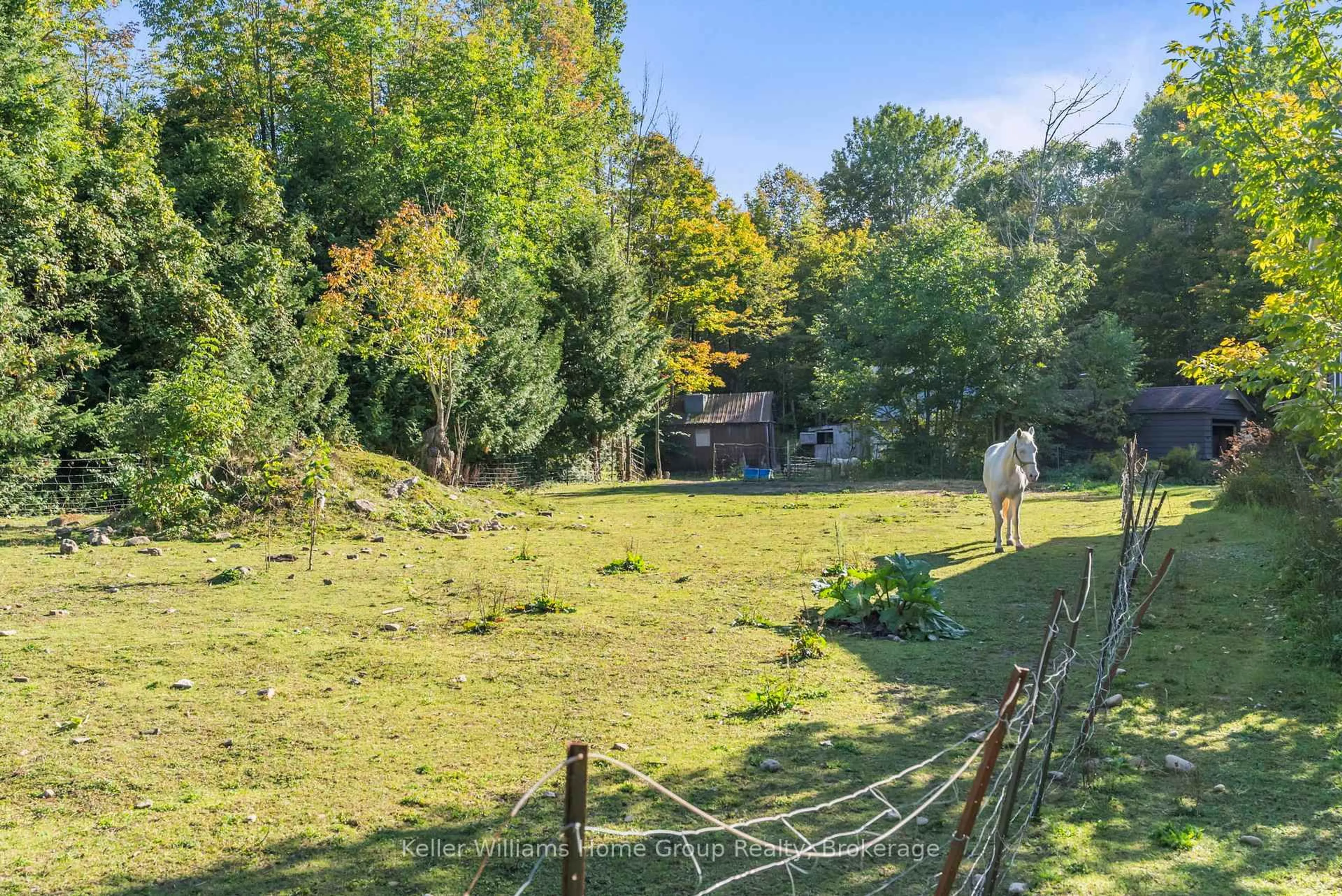 A pic from outside/outdoor area/front of a property/back of a property/a pic from drone, forest/trees view for 125 North Diagonal Rd, South Bruce Peninsula Ontario N0H 2T0