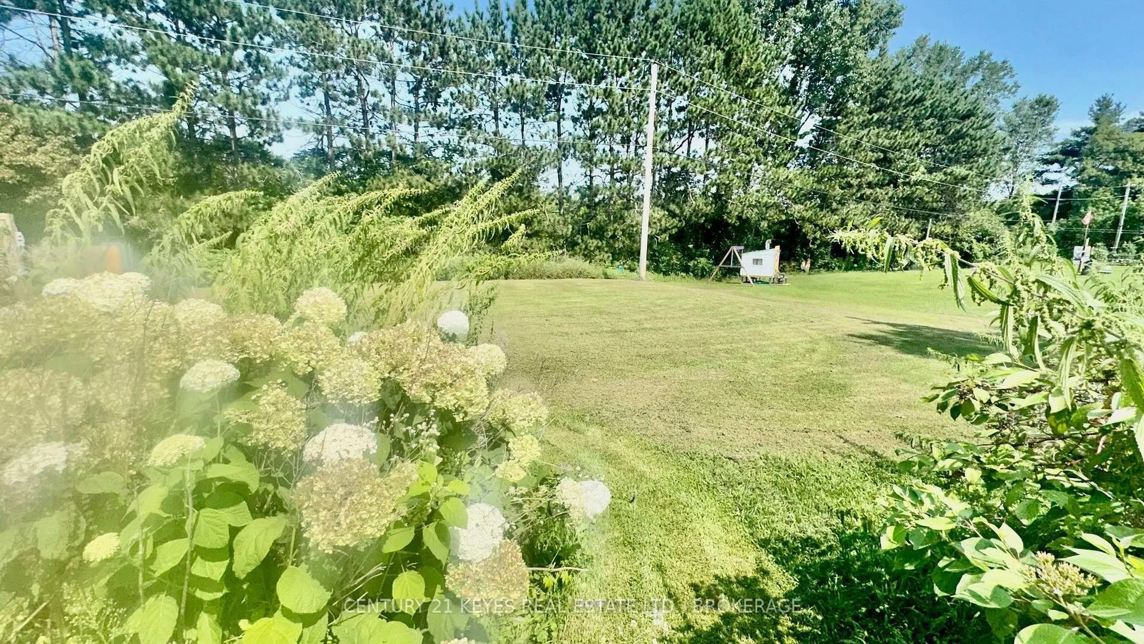 A pic from outside/outdoor area/front of a property/back of a property/a pic from drone, forest/trees view for 104 Ellisville Rd #24, Leeds and the Thousand Islands Ontario K0H 2N0