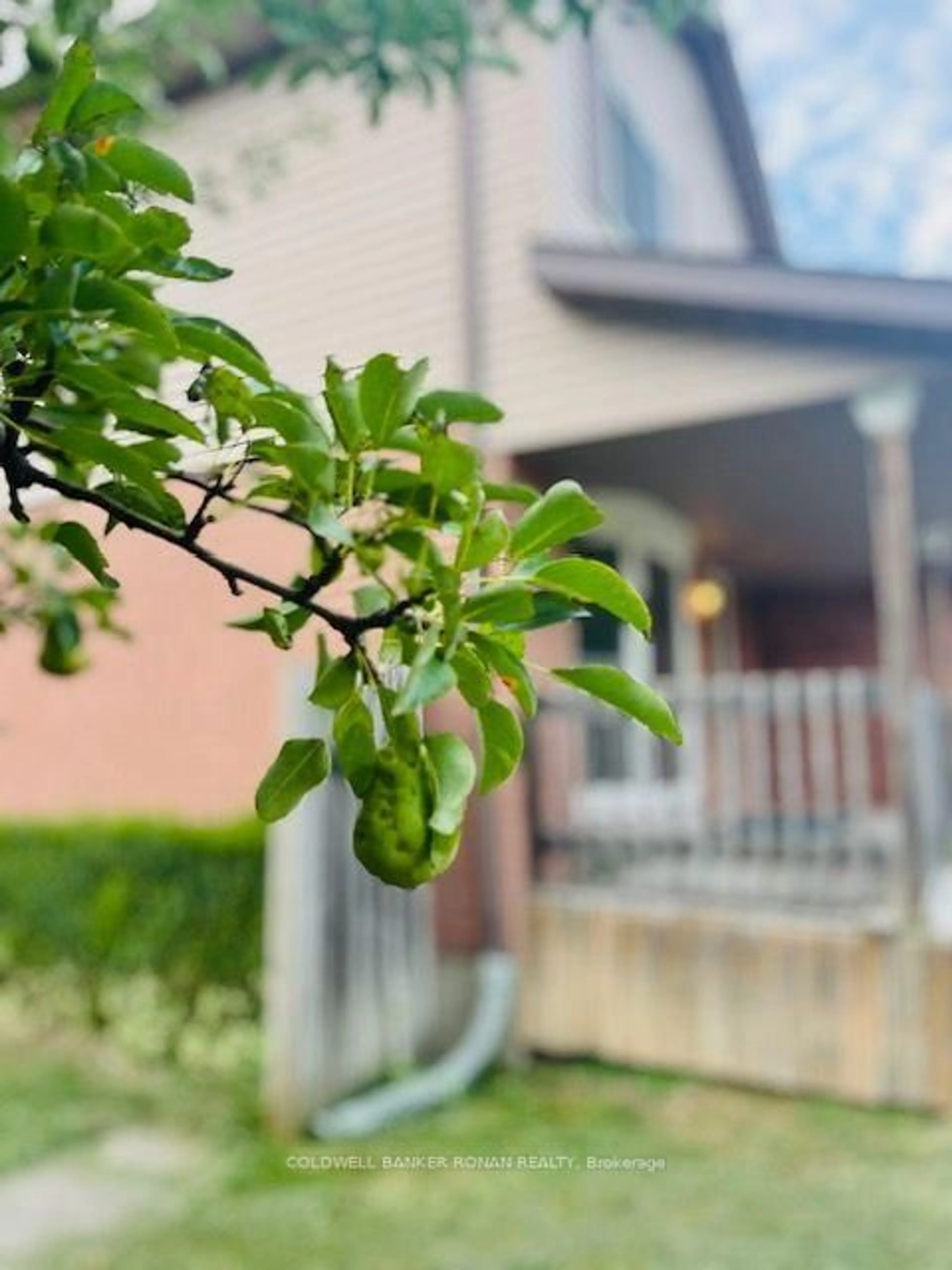 Blurry image for 56 Edward St, Mapleton Ontario N0G 1P0