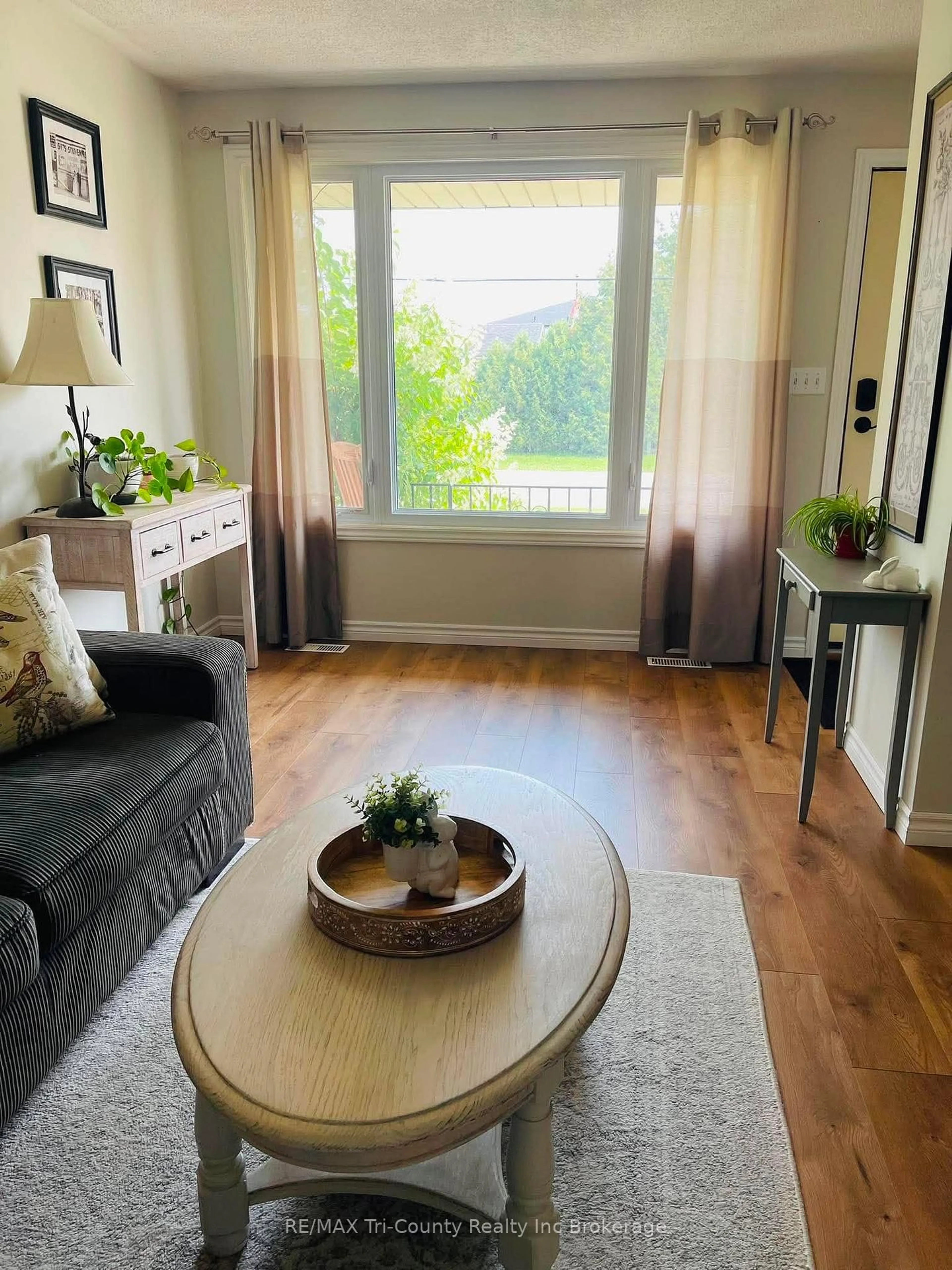 Living room with furniture, wood/laminate floor for 173 Carroll St, Strathroy-Caradoc Ontario N7G 3P8