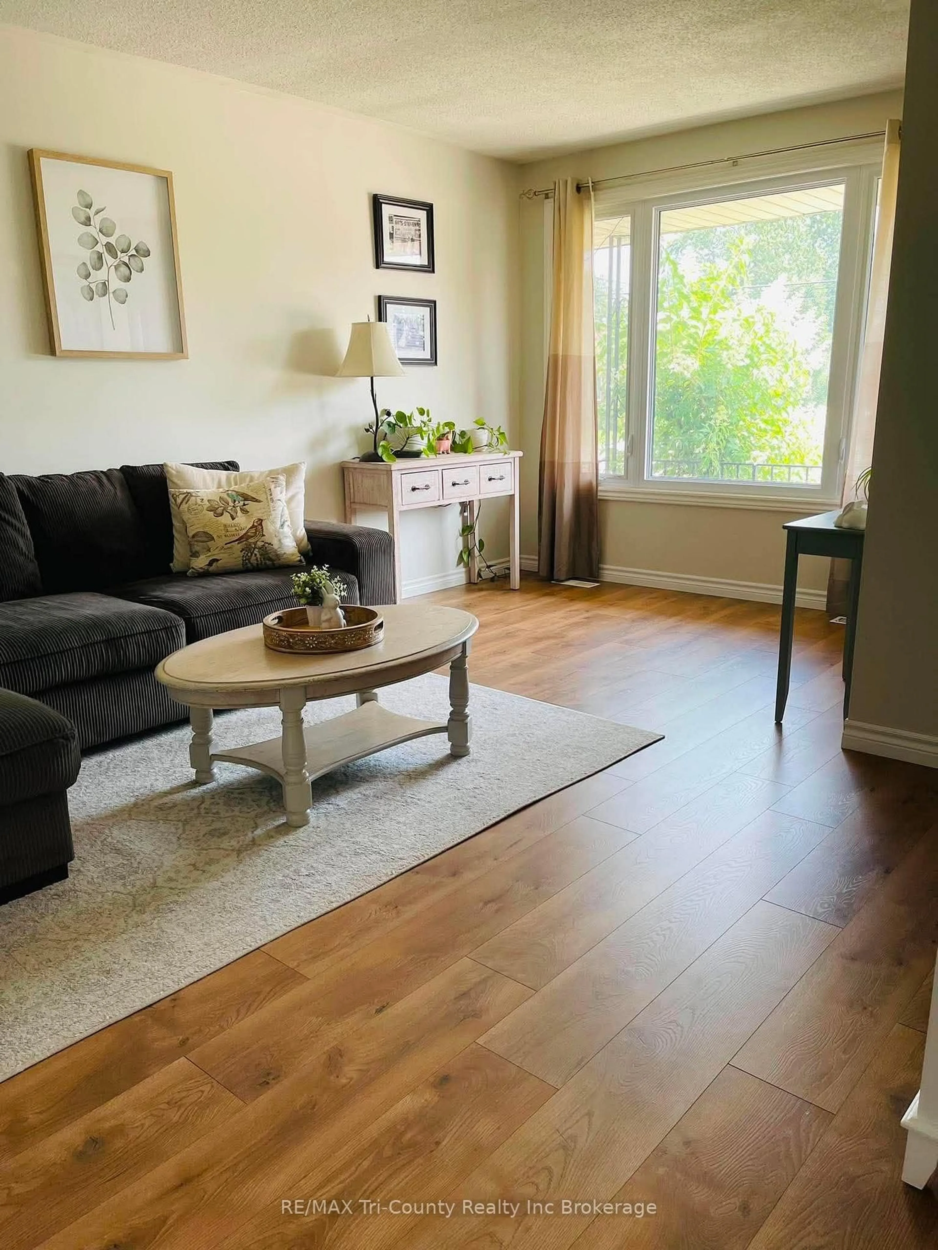 Living room with furniture, wood/laminate floor for 173 Carroll St, Strathroy-Caradoc Ontario N7G 3P8
