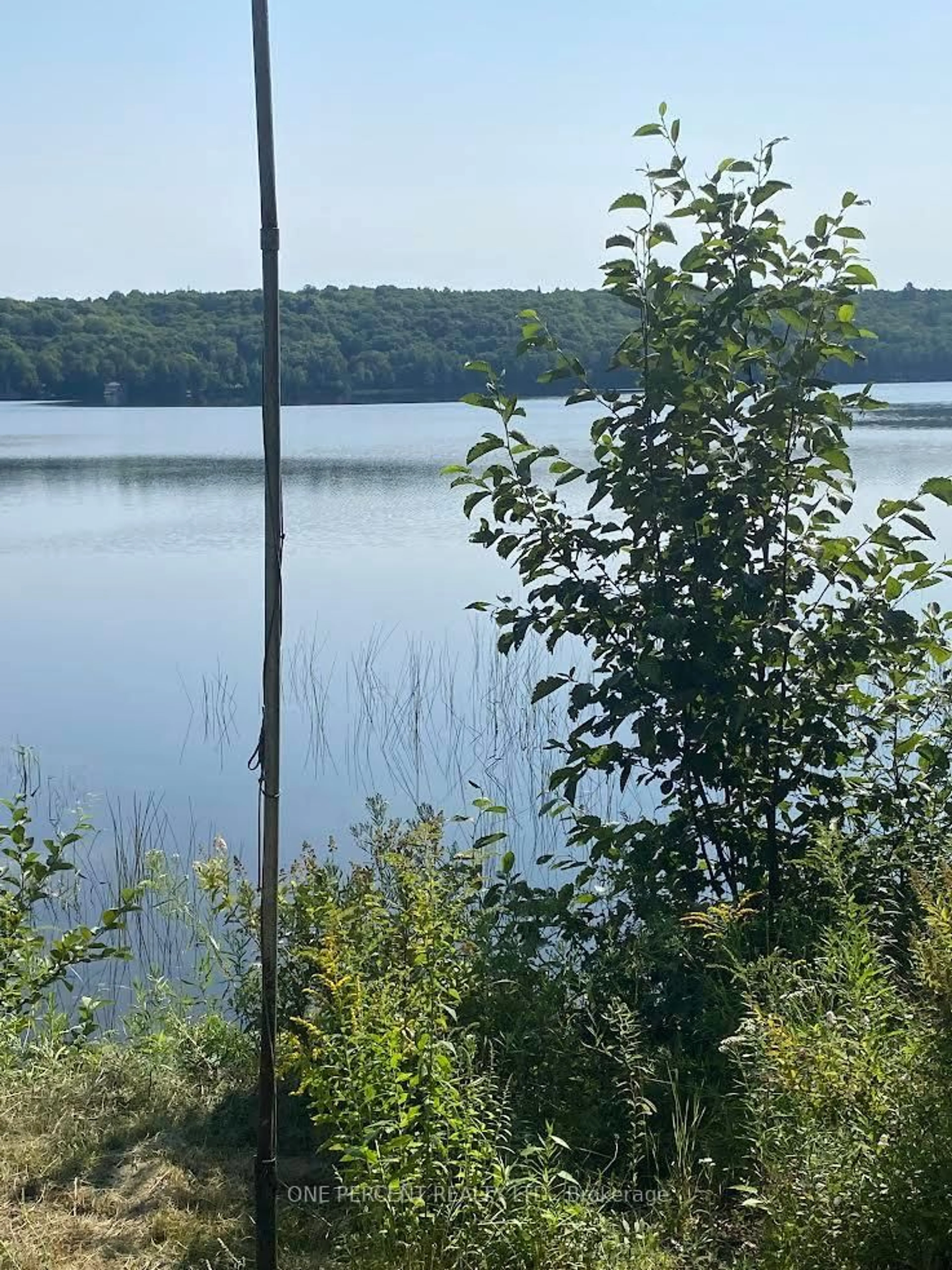 Unknown for 194 Maws Rd, Huntsville Ontario P0A 1R0