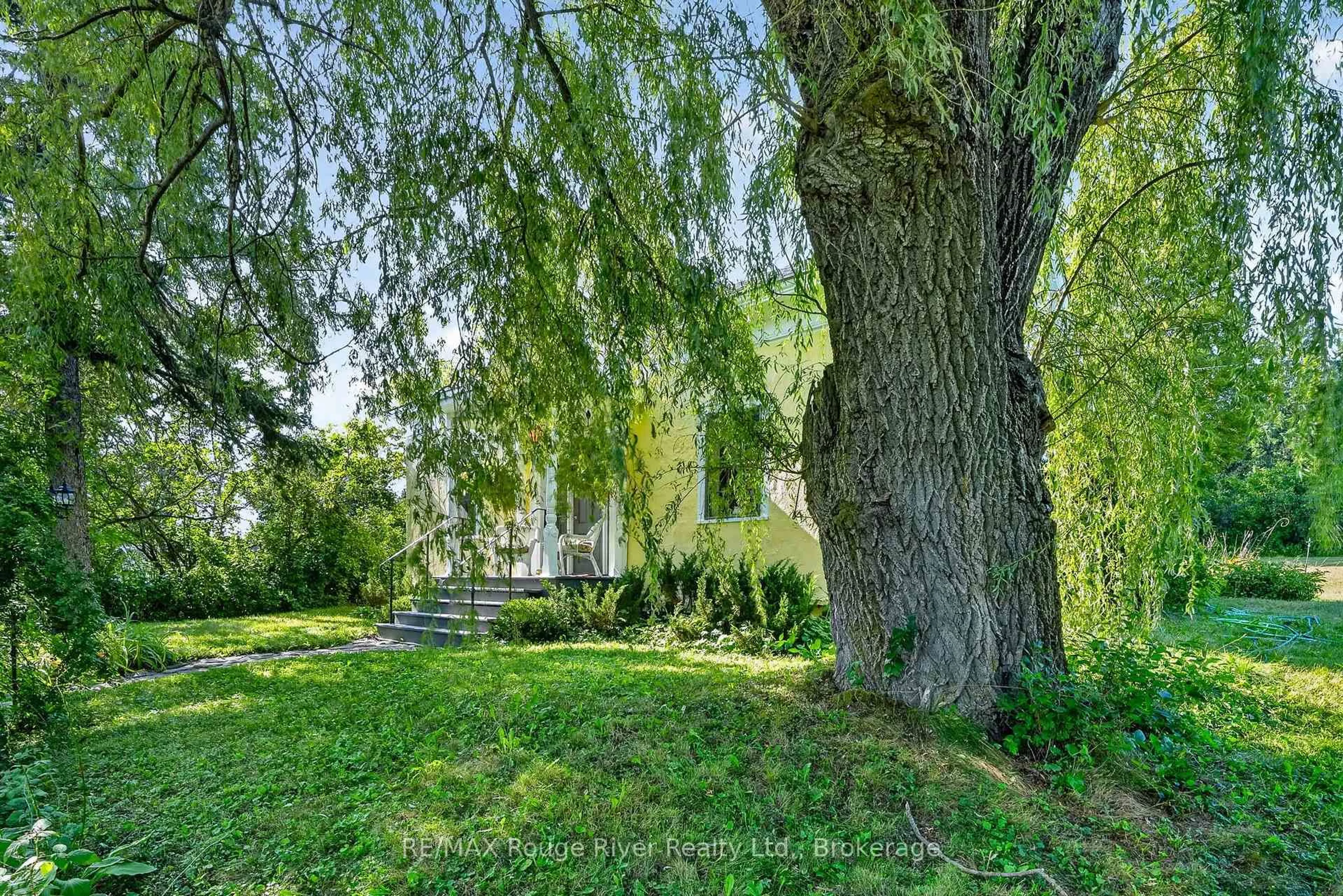 A pic from outside/outdoor area/front of a property/back of a property/a pic from drone, forest/trees view for 566 Penryn Rd, Cramahe Ontario K0K 1S0