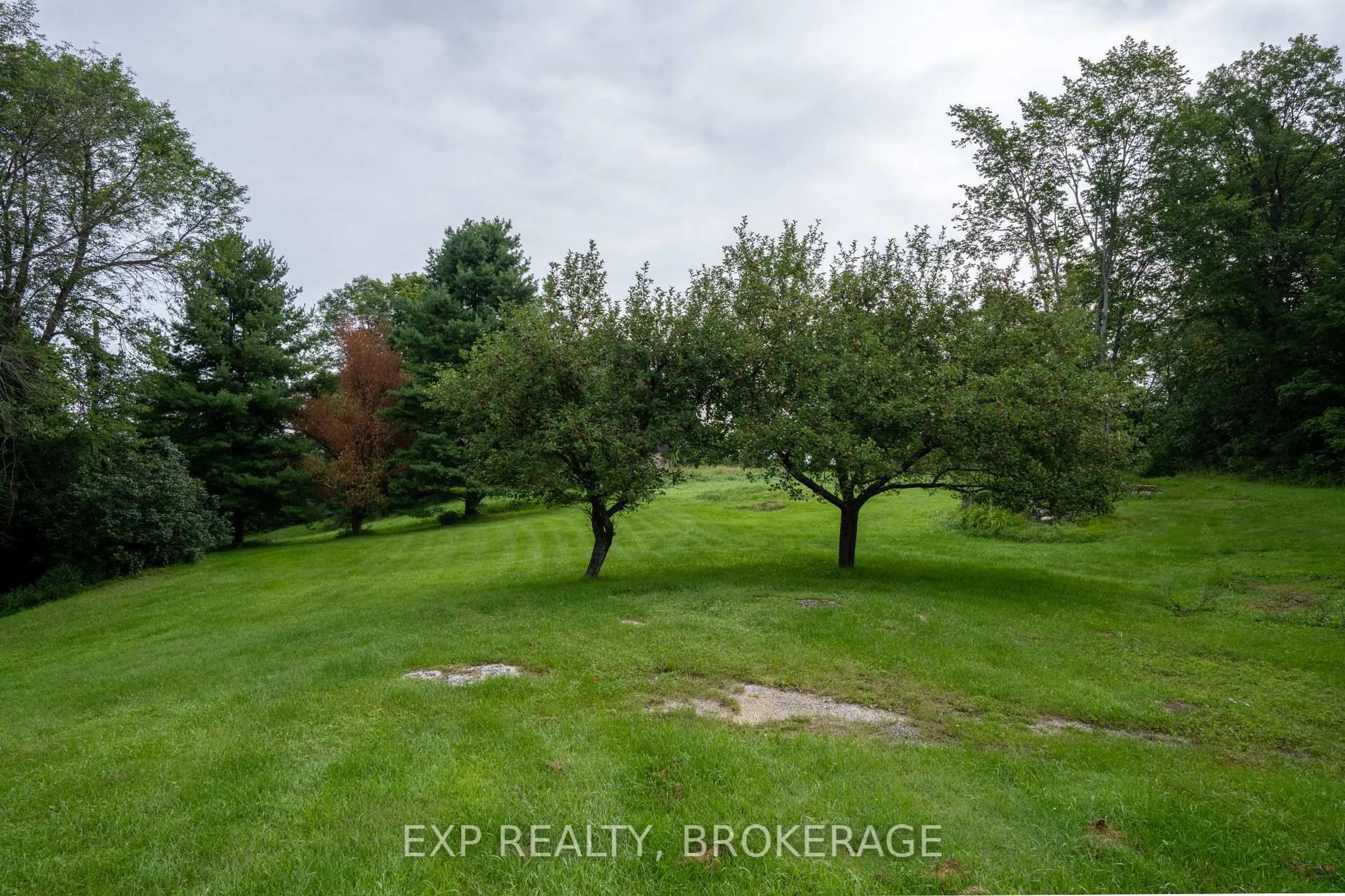 A pic from outside/outdoor area/front of a property/back of a property/a pic from drone, forest/trees view for 279 Munro Rd, Maberly Ontario K0H 2B0