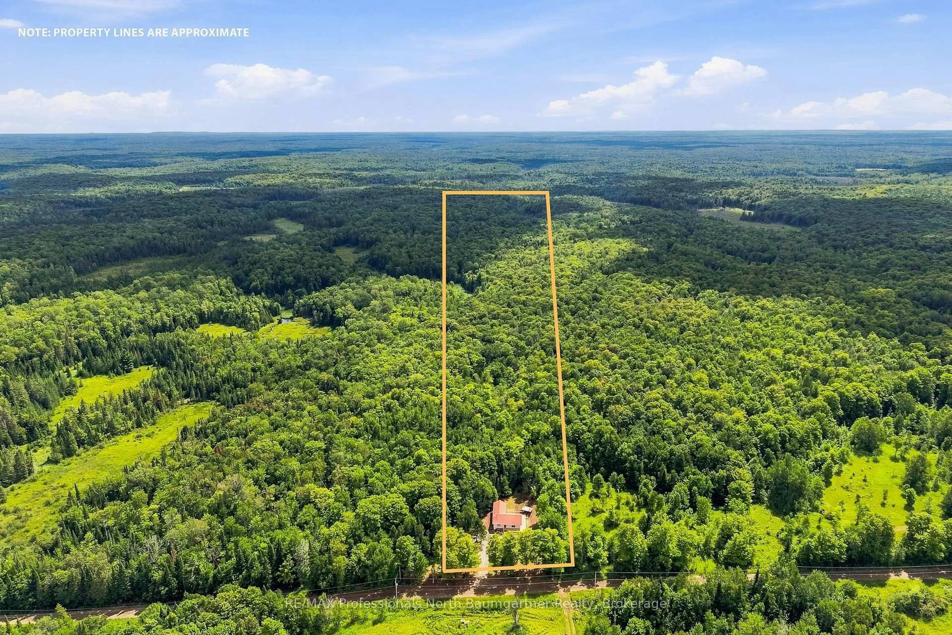A pic from outside/outdoor area/front of a property/back of a property/a pic from drone, forest/trees view for 3085 Hadlington Rd, Highlands East Ontario K0L 2Y0