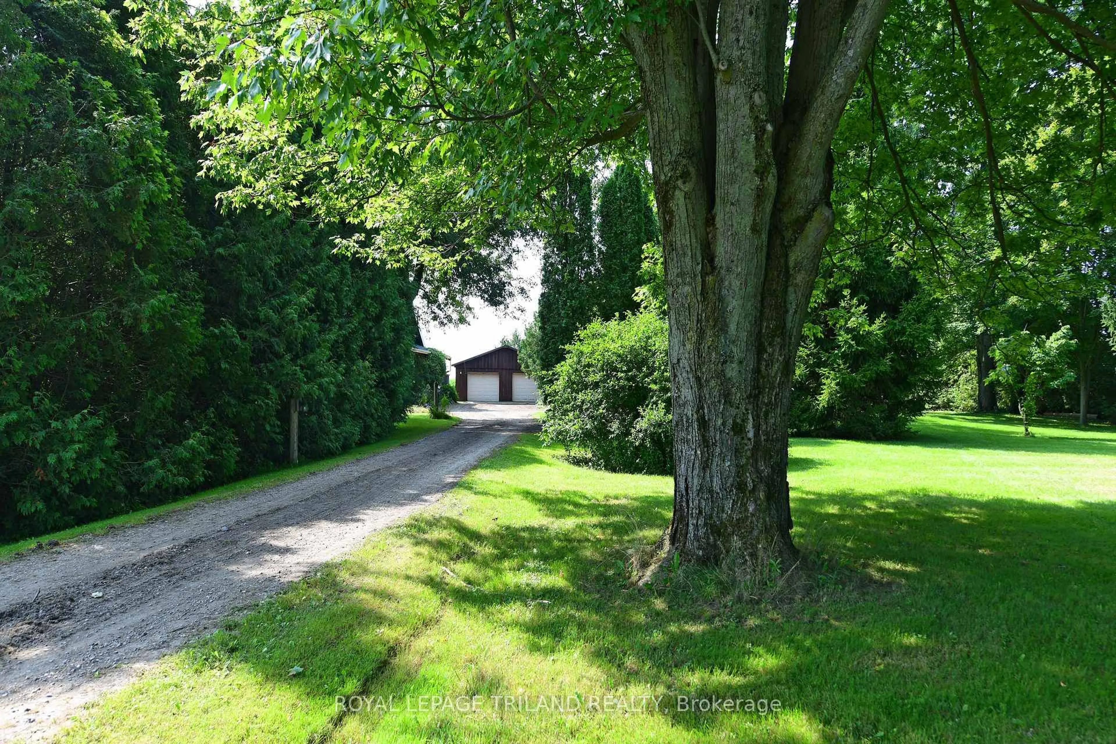 A pic from outside/outdoor area/front of a property/back of a property/a pic from drone, forest/trees view for 42431 Ron Mcneil Line, Central Elgin Ontario N5P 3T3