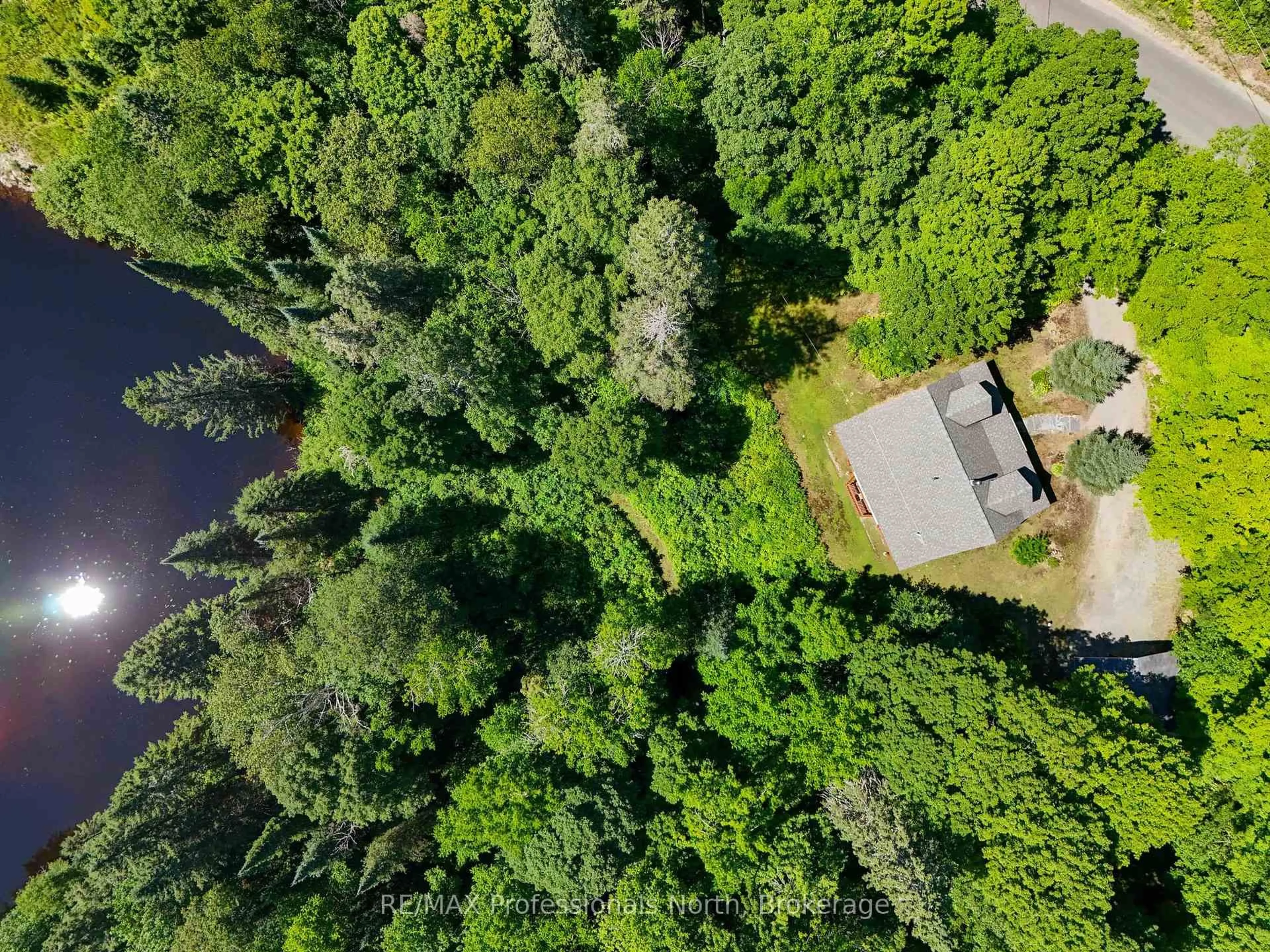 A pic from outside/outdoor area/front of a property/back of a property/a pic from drone, forest/trees view for 1237 Williamsport Rd, Huntsville Ontario P1H 2J4