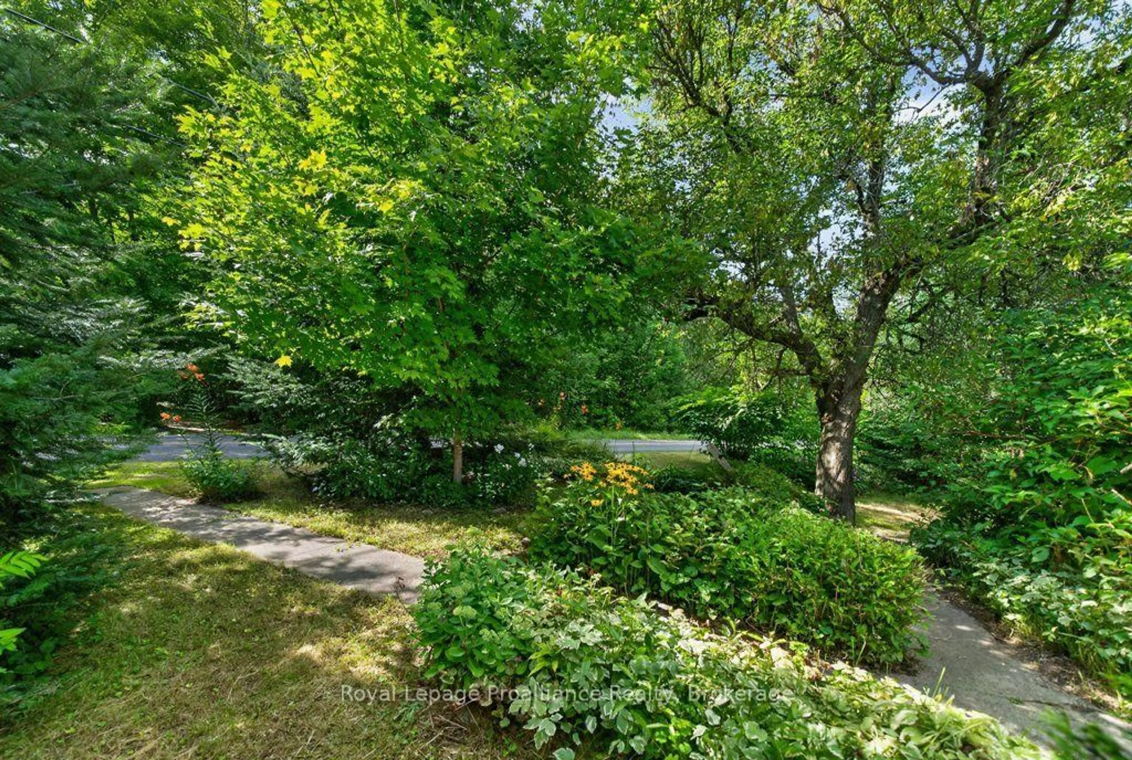 Patio, forest/trees view for 2452 Henderson Rd, Barry's Bay Ontario K0K 1B0