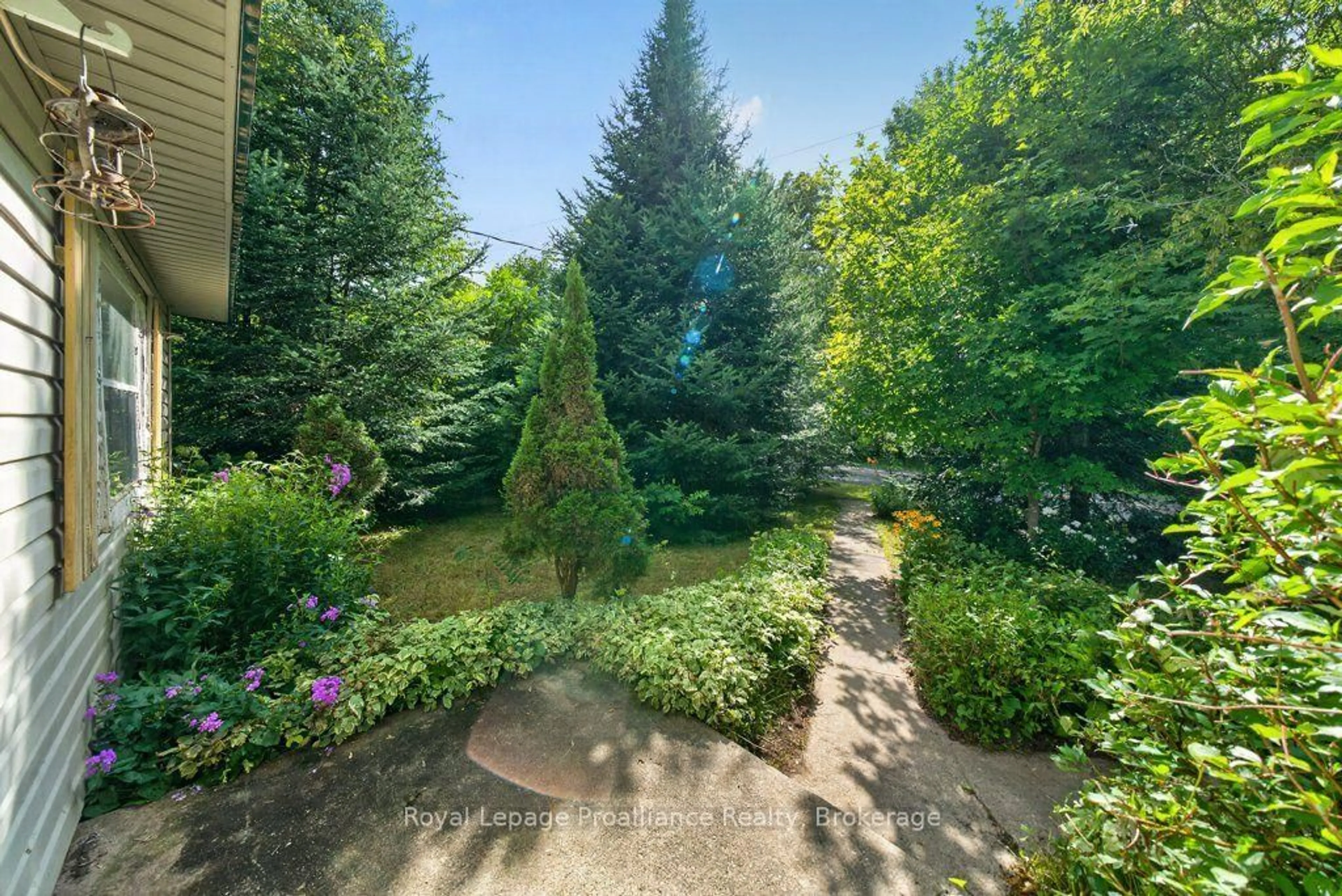 Patio, forest/trees view for 2452 Henderson Rd, Barry's Bay Ontario K0K 1B0