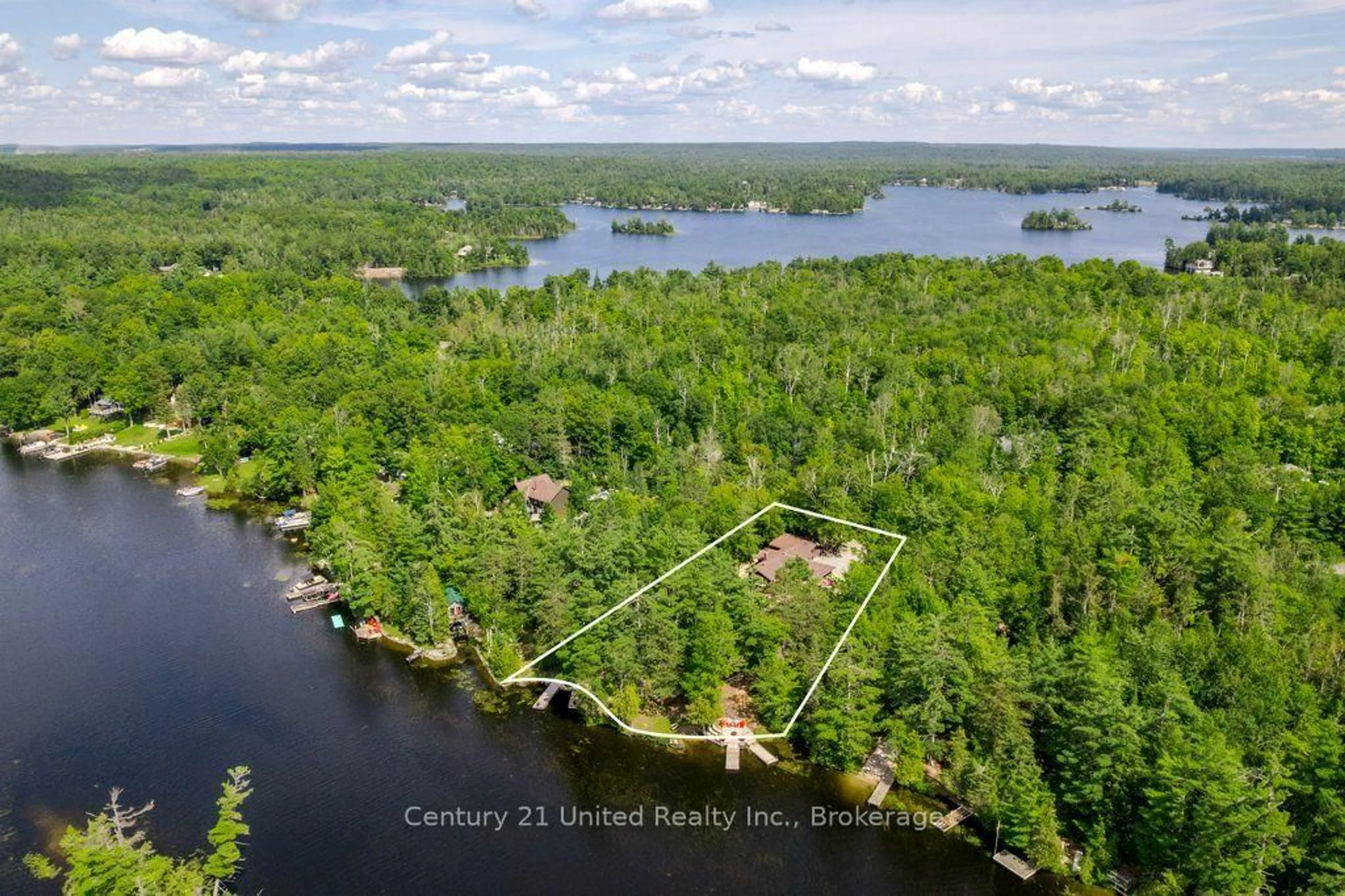 A pic from outside/outdoor area/front of a property/back of a property/a pic from drone, water/lake/river/ocean view for 41 Hall Cres, Trent Lakes Ontario K0L 1J0