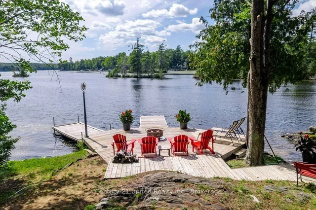 41 Hall Cres, Trent Lakes 5