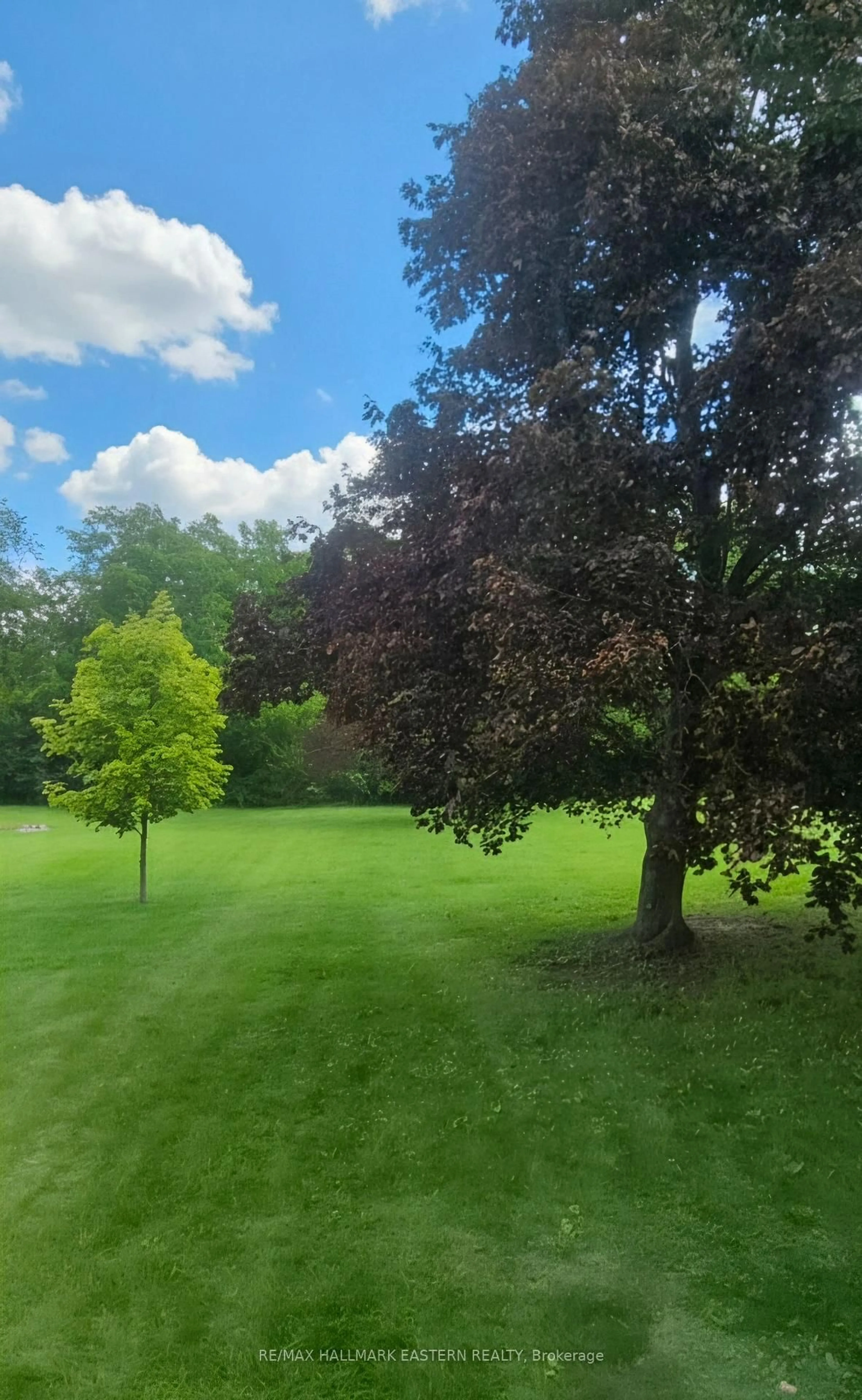 A pic from outside/outdoor area/front of a property/back of a property/a pic from drone, forest/trees view for 273 Victoria St, Trent Hills Ontario K0L 1L0