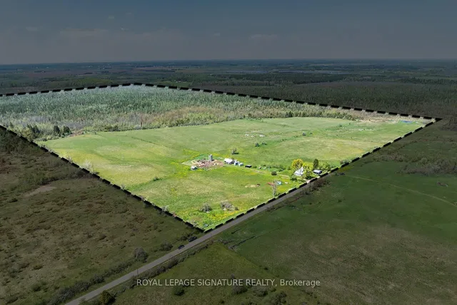 1007 Moor Rd, Kawartha Lakes 5