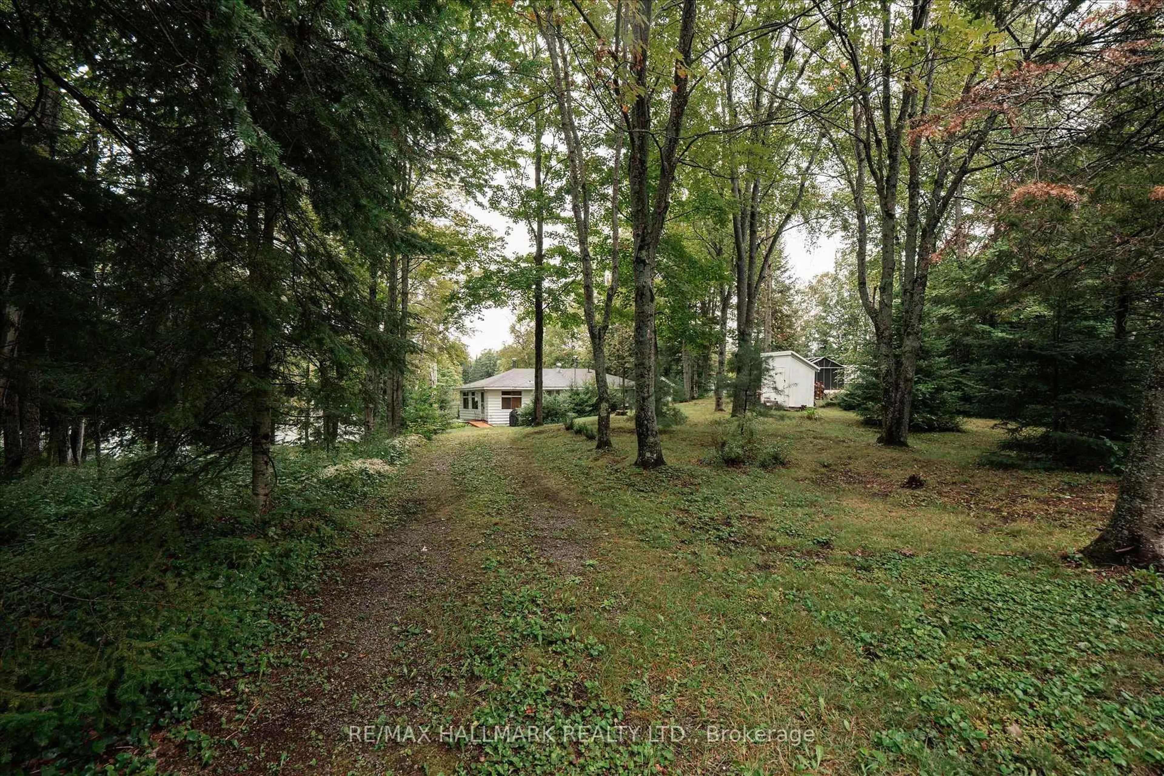 A pic from outside/outdoor area/front of a property/back of a property/a pic from drone, forest/trees view for 1124 Comfort Dr, Highlands East Ontario K0M 1R0
