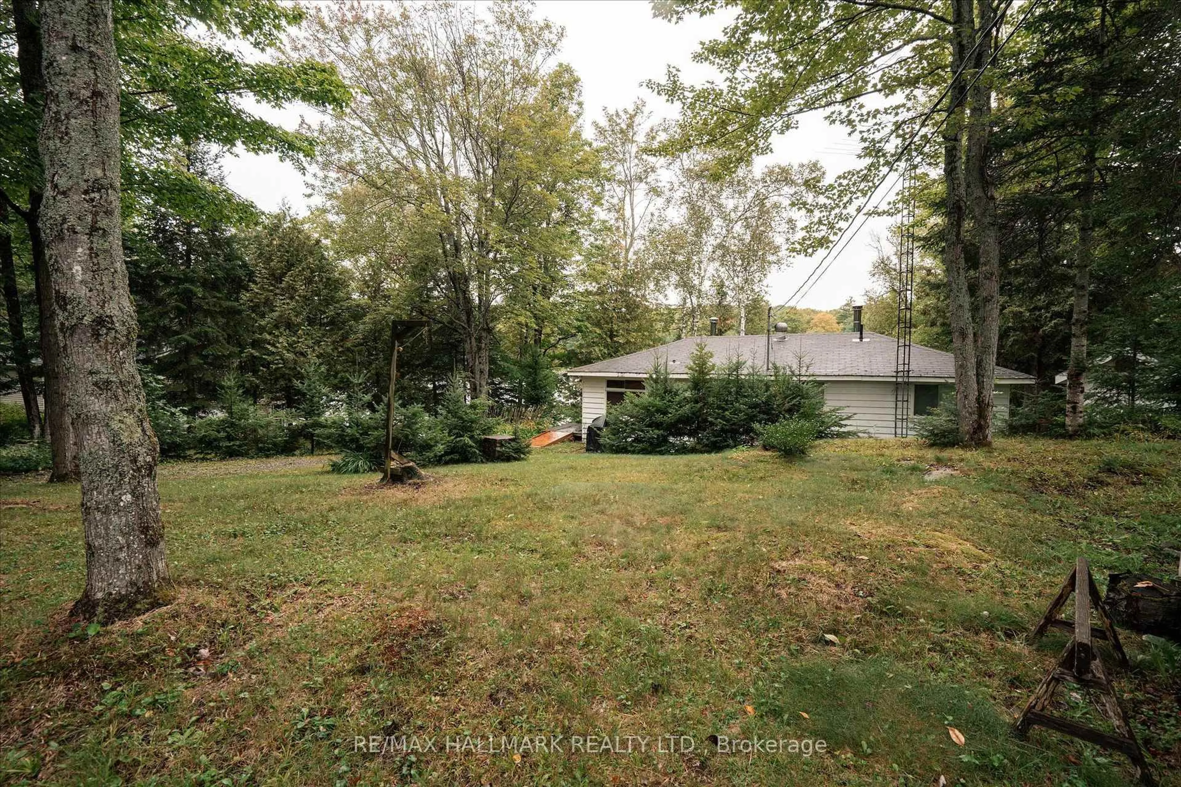 A pic from outside/outdoor area/front of a property/back of a property/a pic from drone, forest/trees view for 1124 Comfort Dr, Highlands East Ontario K0M 1R0
