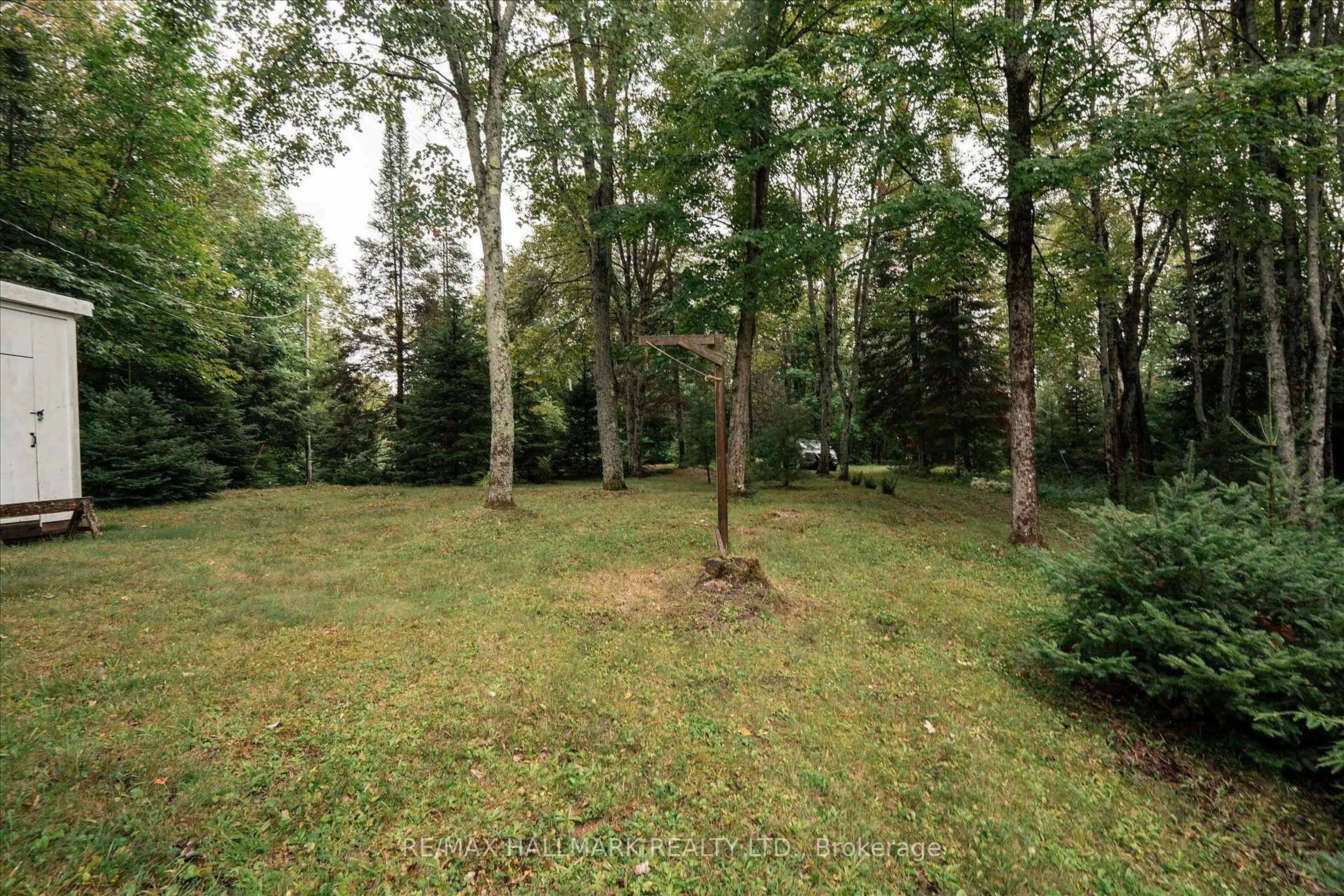 Patio, forest/trees view for 1124 Comfort Dr, Highlands East Ontario K0M 1R0