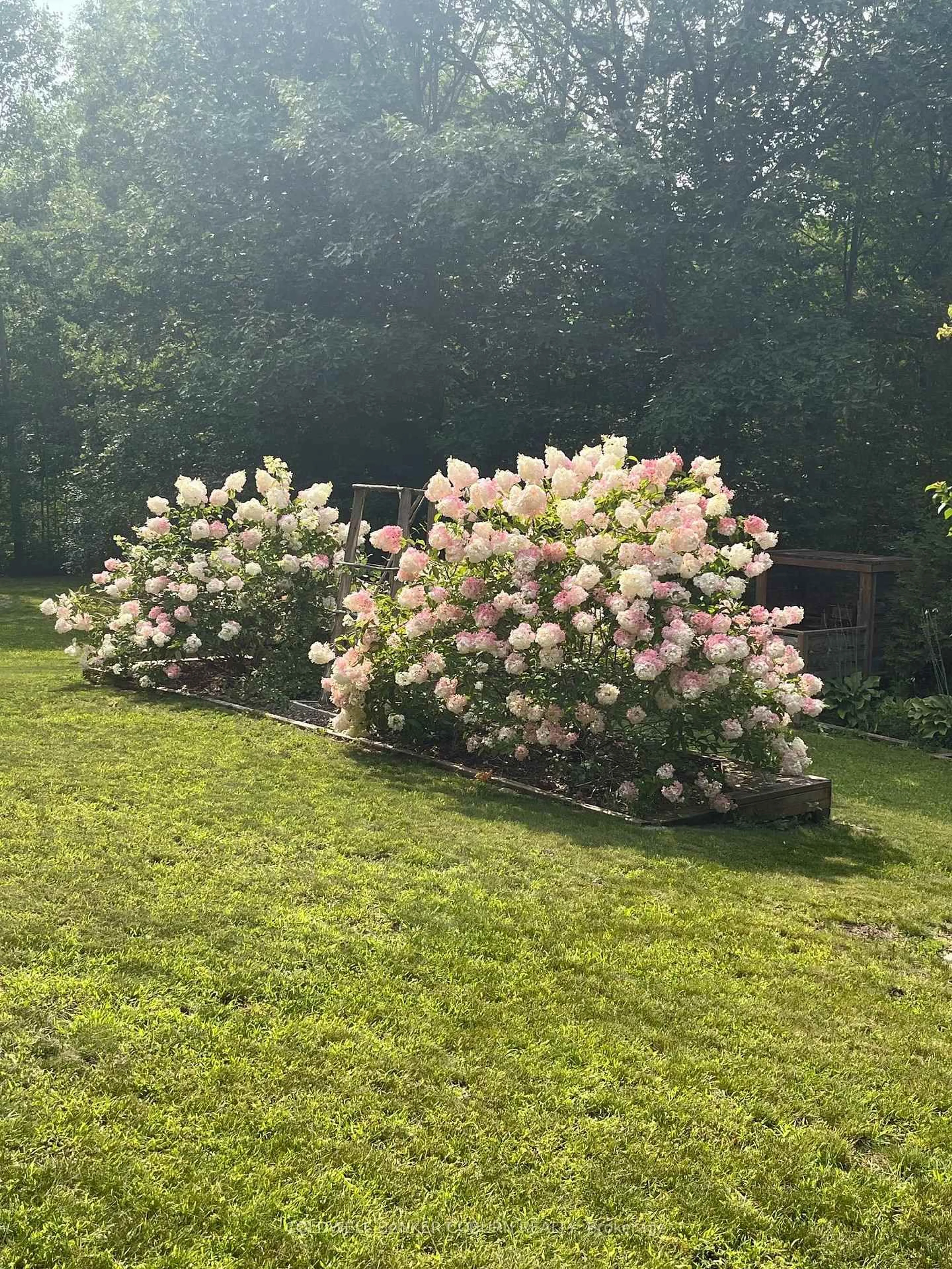 Patio, unknown for 397 Burchill Rd, Merrickville Ontario K0G 1N0