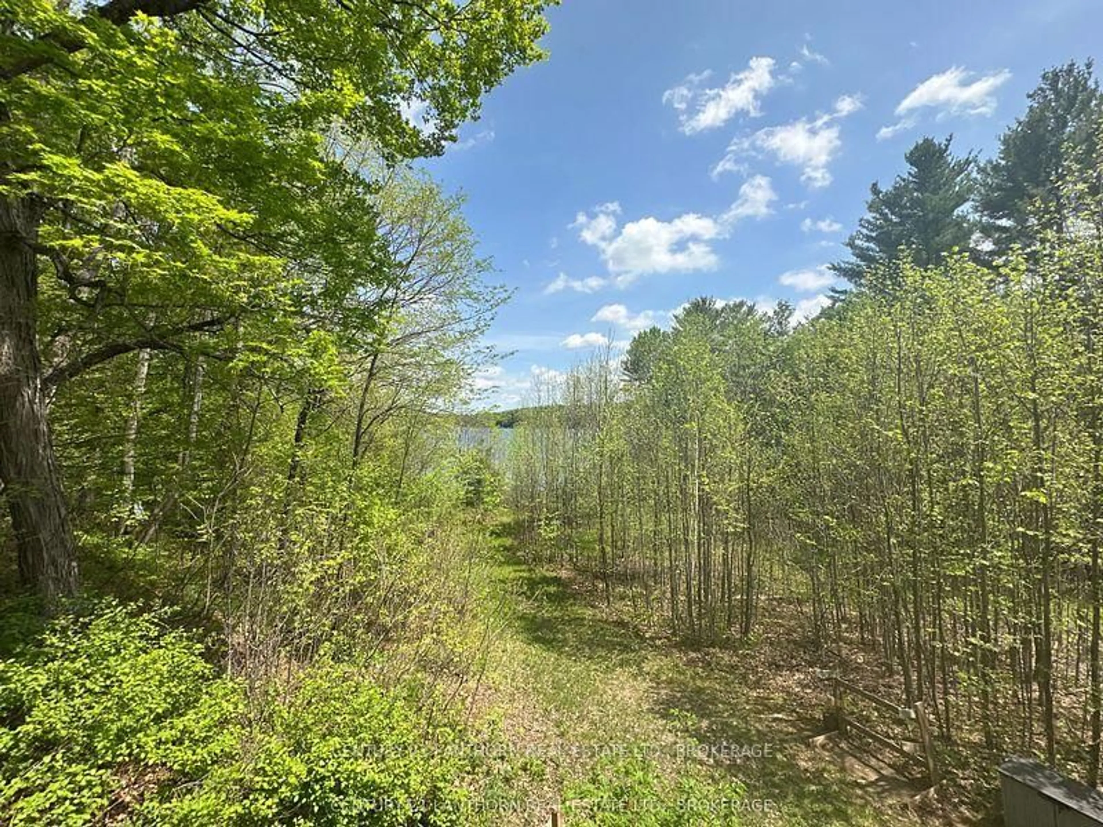 A pic from outside/outdoor area/front of a property/back of a property/a pic from drone, forest/trees view for 1024 Harrington Lane, Frontenac Ontario K0H 0B6