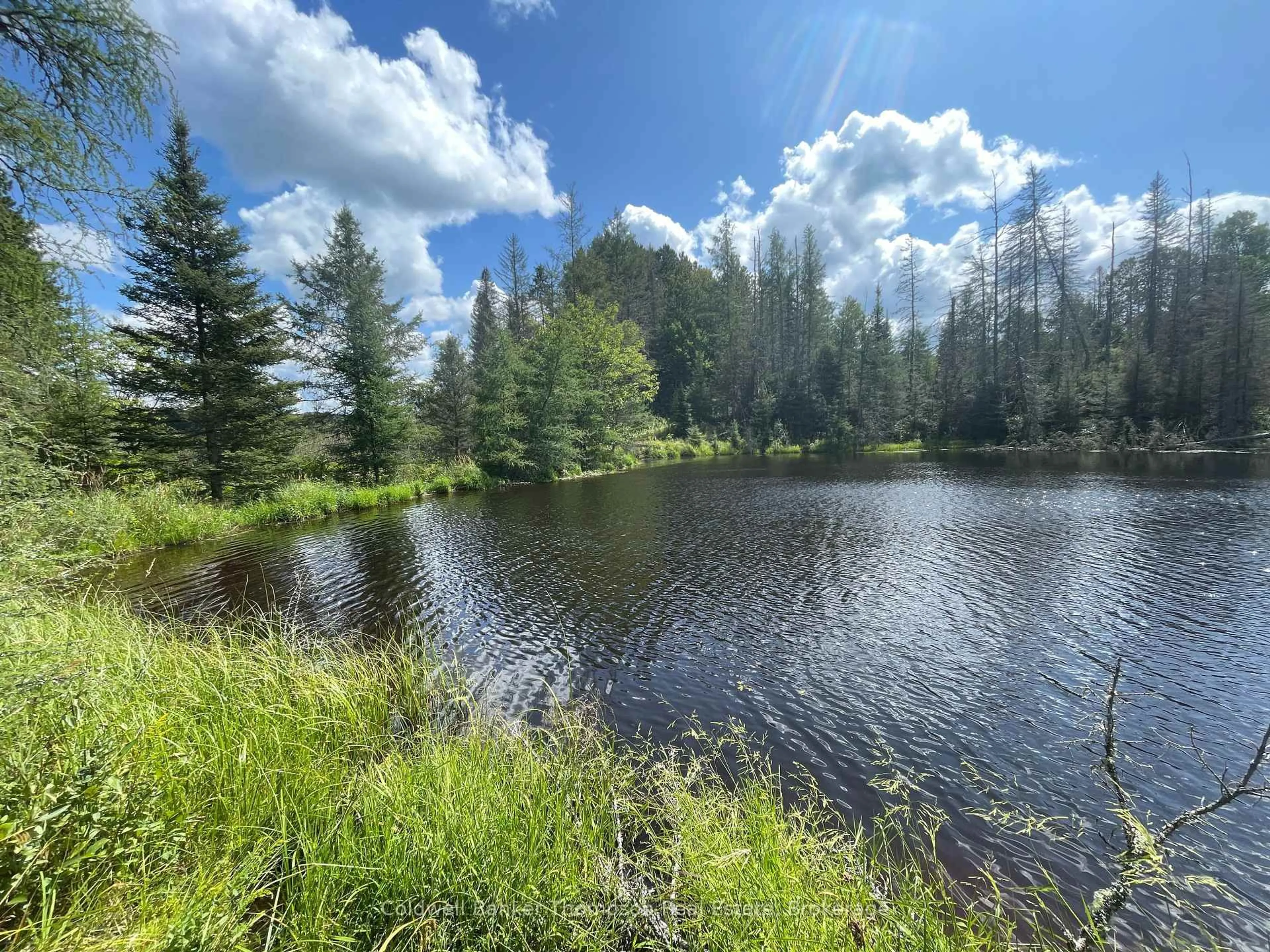 A pic of a room for 458 Leighton Rd, Machar Ontario P0A 1X0