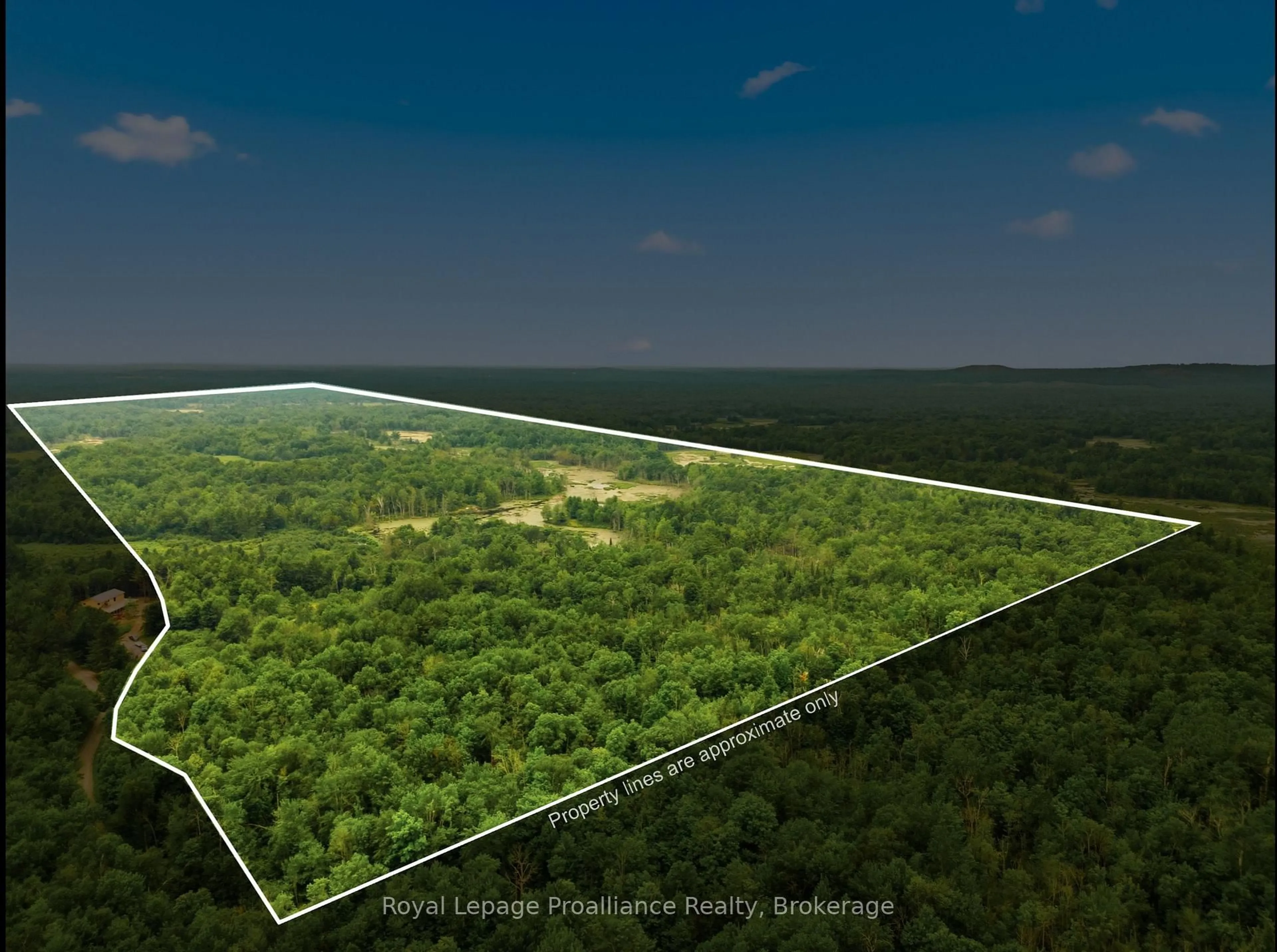 A pic from outside/outdoor area/front of a property/back of a property/a pic from drone, forest/trees view for 1519 Rockies Rd, Madoc Ontario K0K 2K0