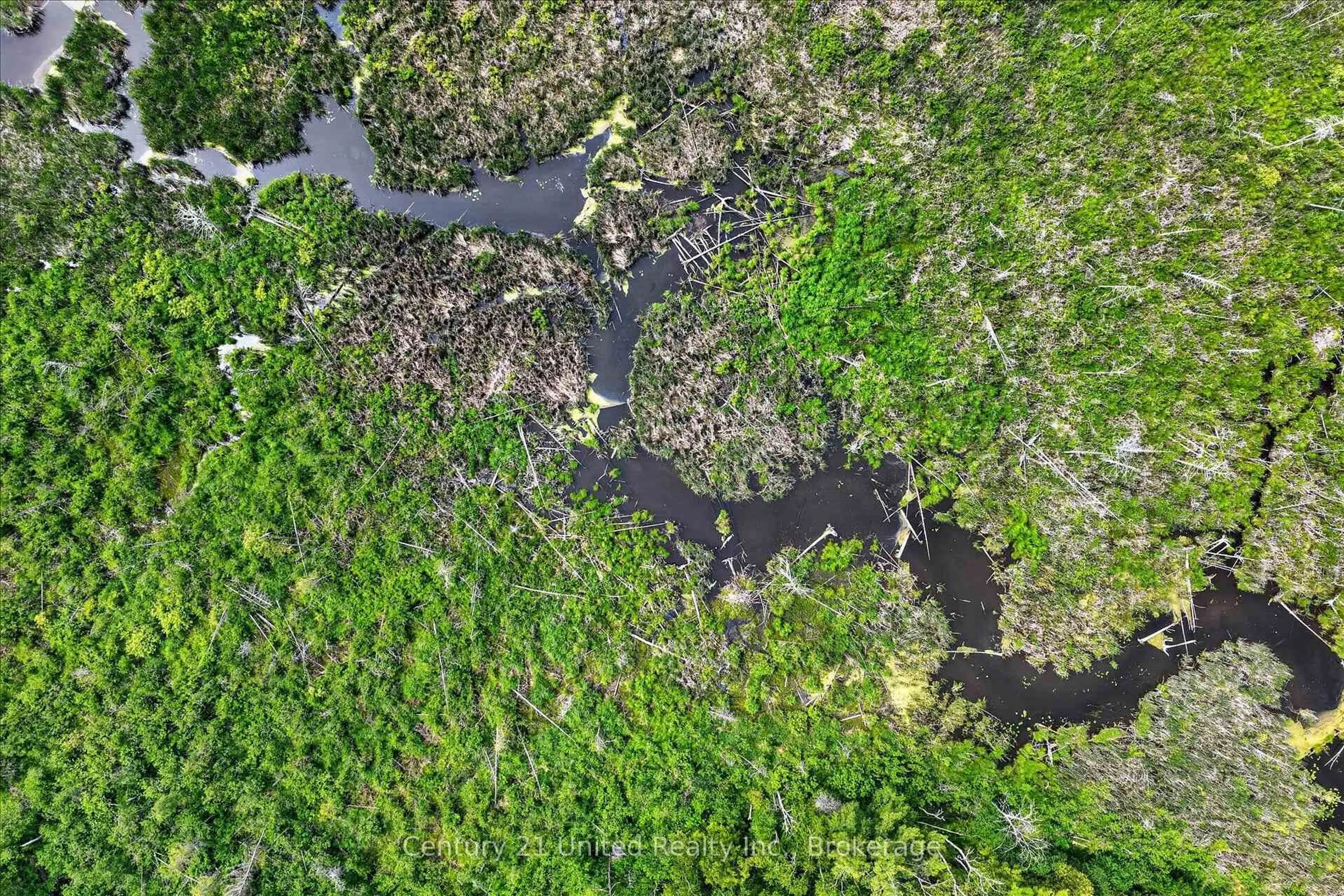 A pic from outside/outdoor area/front of a property/back of a property/a pic from drone, forest/trees view for 93 Loop Line, Kawartha Lakes Ontario K0L 2W0