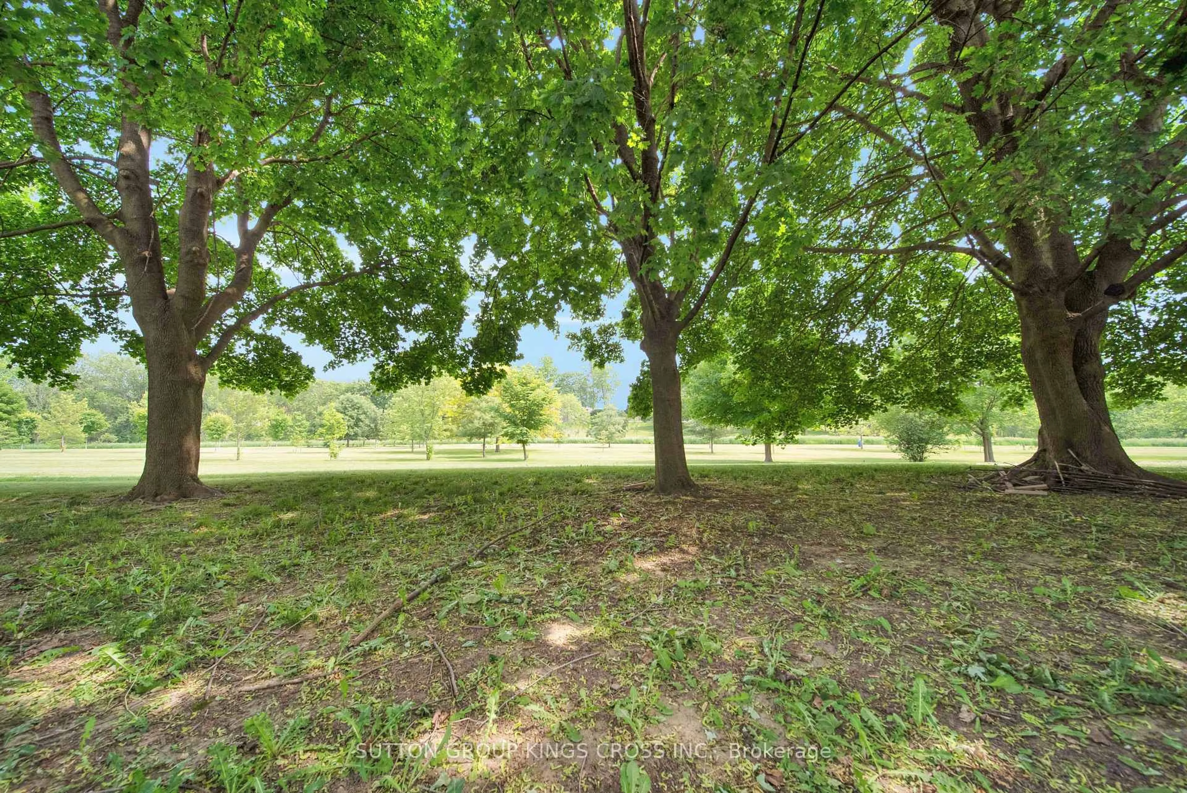 A pic from outside/outdoor area/front of a property/back of a property/a pic from drone, forest/trees view for 34 Hillcrest Ave, Chatham-Kent Ontario N7M 4E7