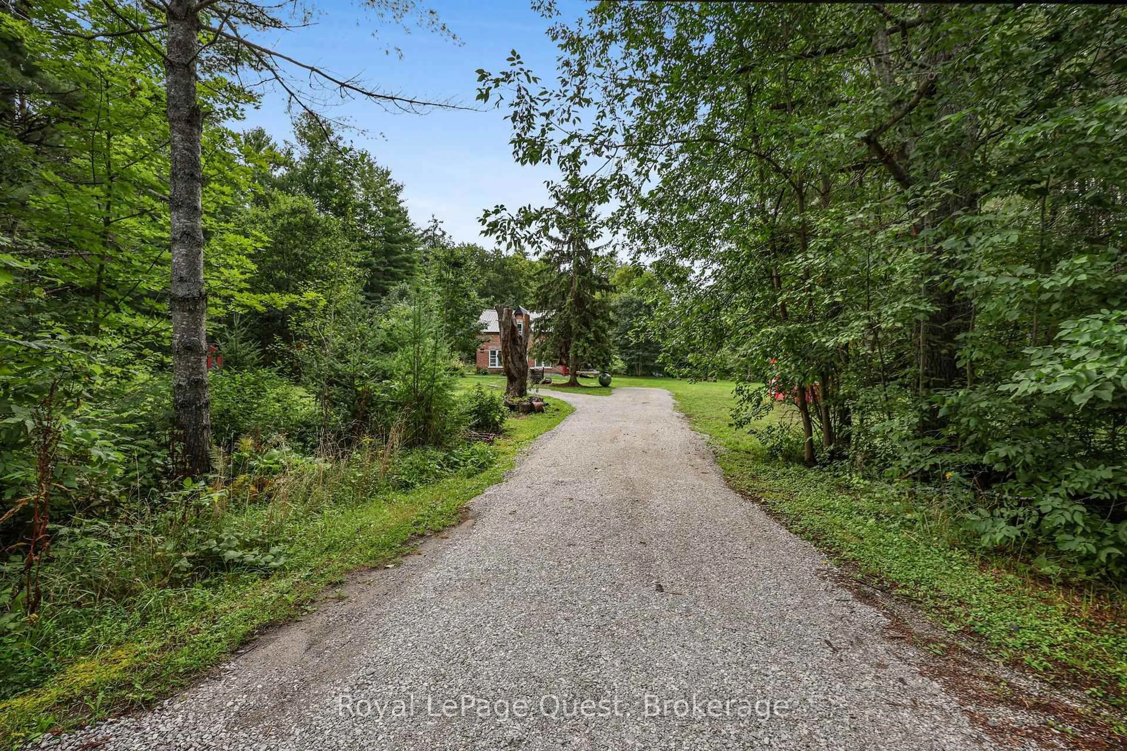 A pic from outside/outdoor area/front of a property/back of a property/a pic from drone, forest/trees view for 1289 Graham Rd, Gravenhurst Ontario P0E 1N0