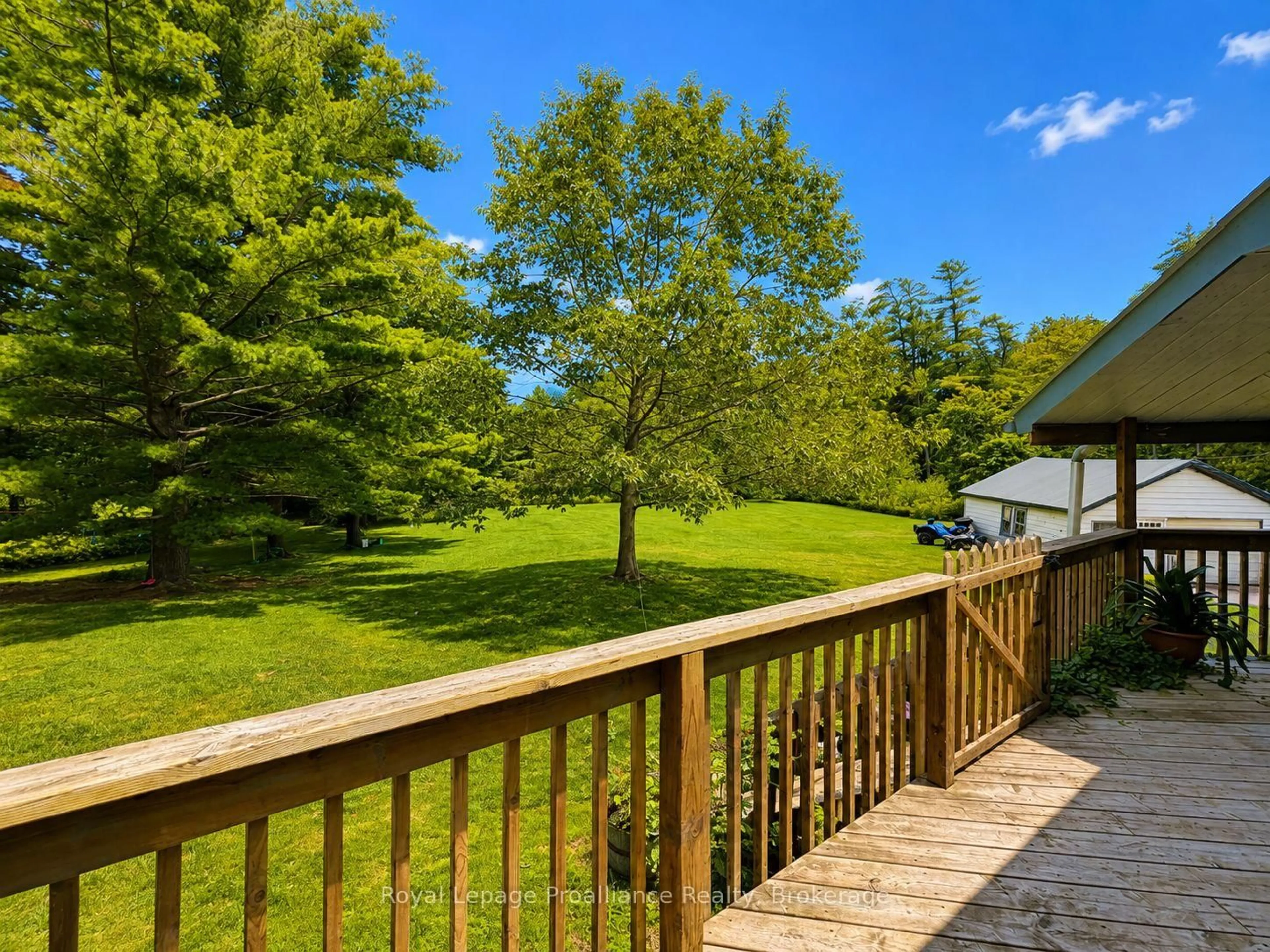 A pic from outside/outdoor area/front of a property/back of a property/a pic from drone, forest/trees view for 59 Helyer Rd, Ingleside Ontario K8V 5P4