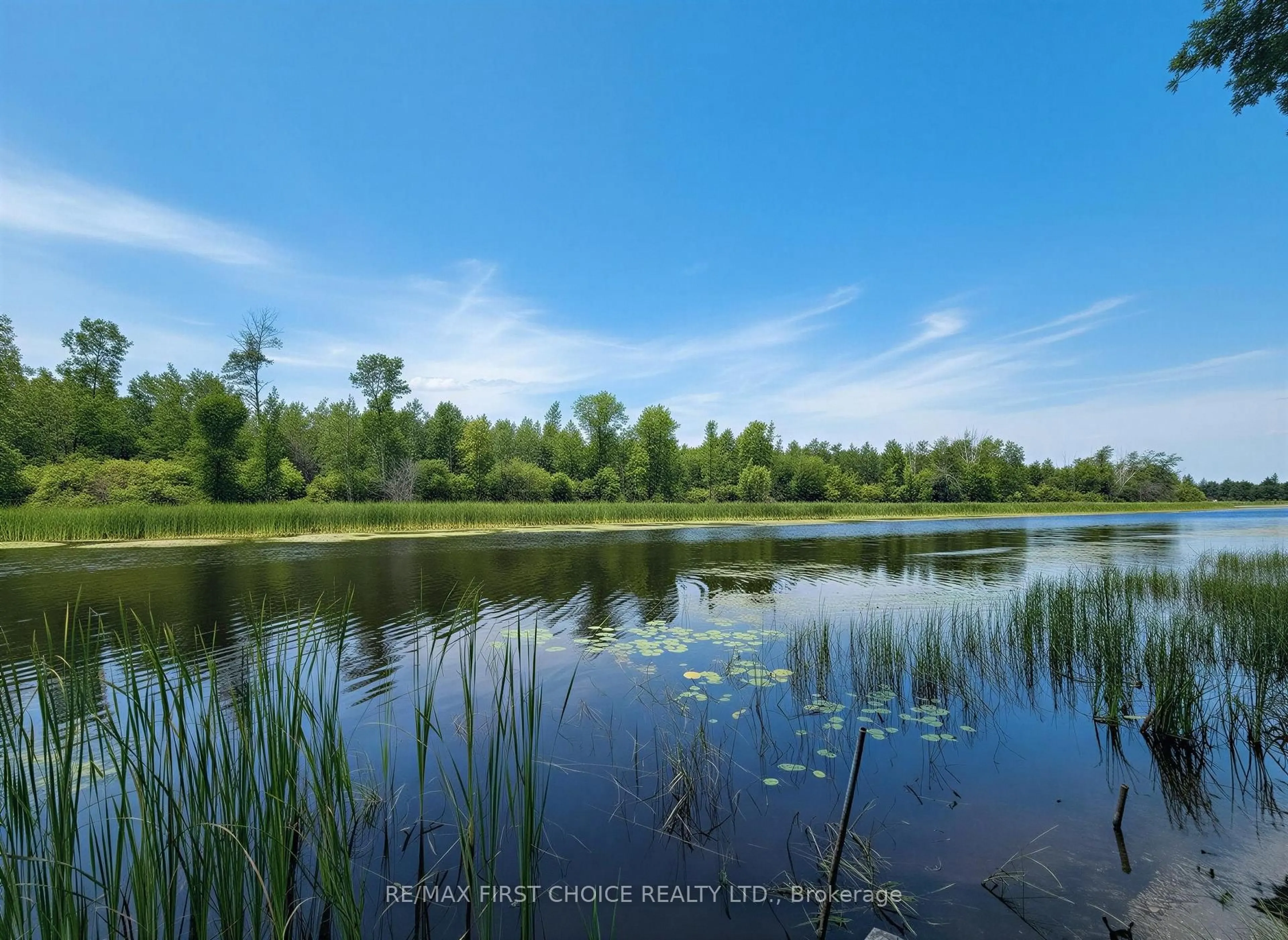 Unknown for 99 Kreger Rd, Lake of the Woods Ontario P0W 1M0