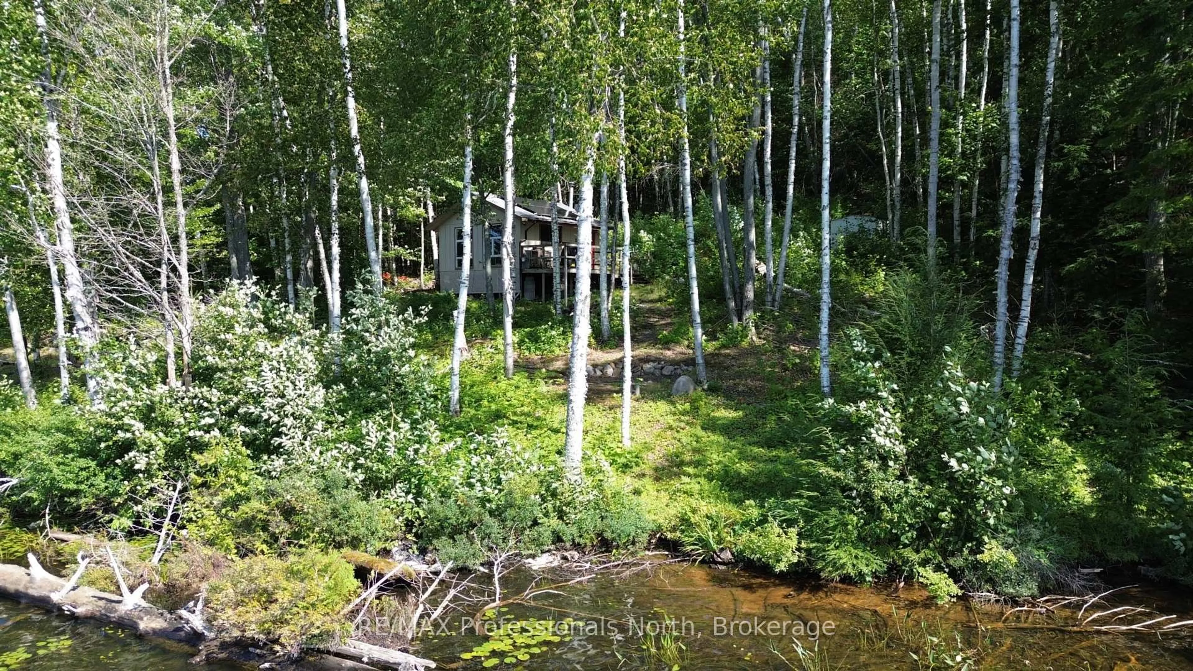 A pic from outside/outdoor area/front of a property/back of a property/a pic from drone, forest/trees view for PT LT 12-13 Con Baptiste Lake WAO, Bancroft Ontario K0L 1C0