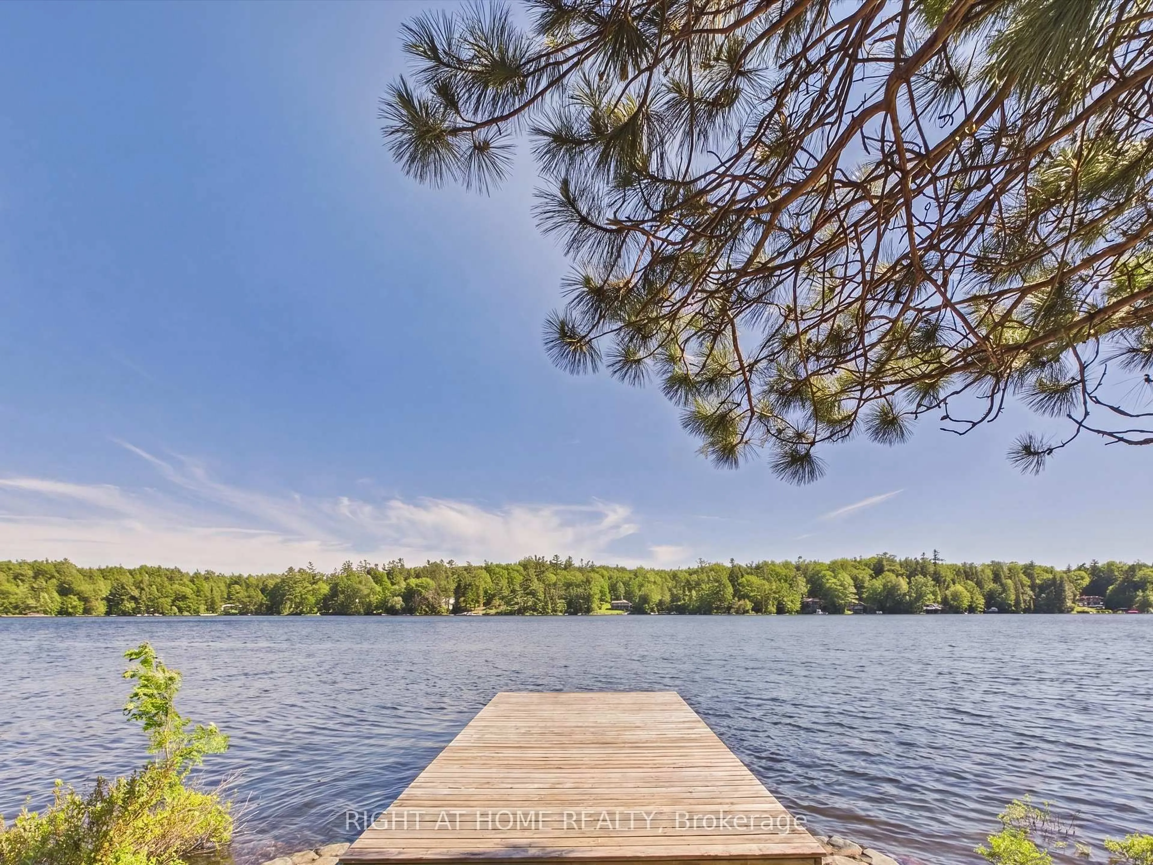 Unknown for 1527 Moon River Rd, Muskoka Lakes Ontario P0C 1H0