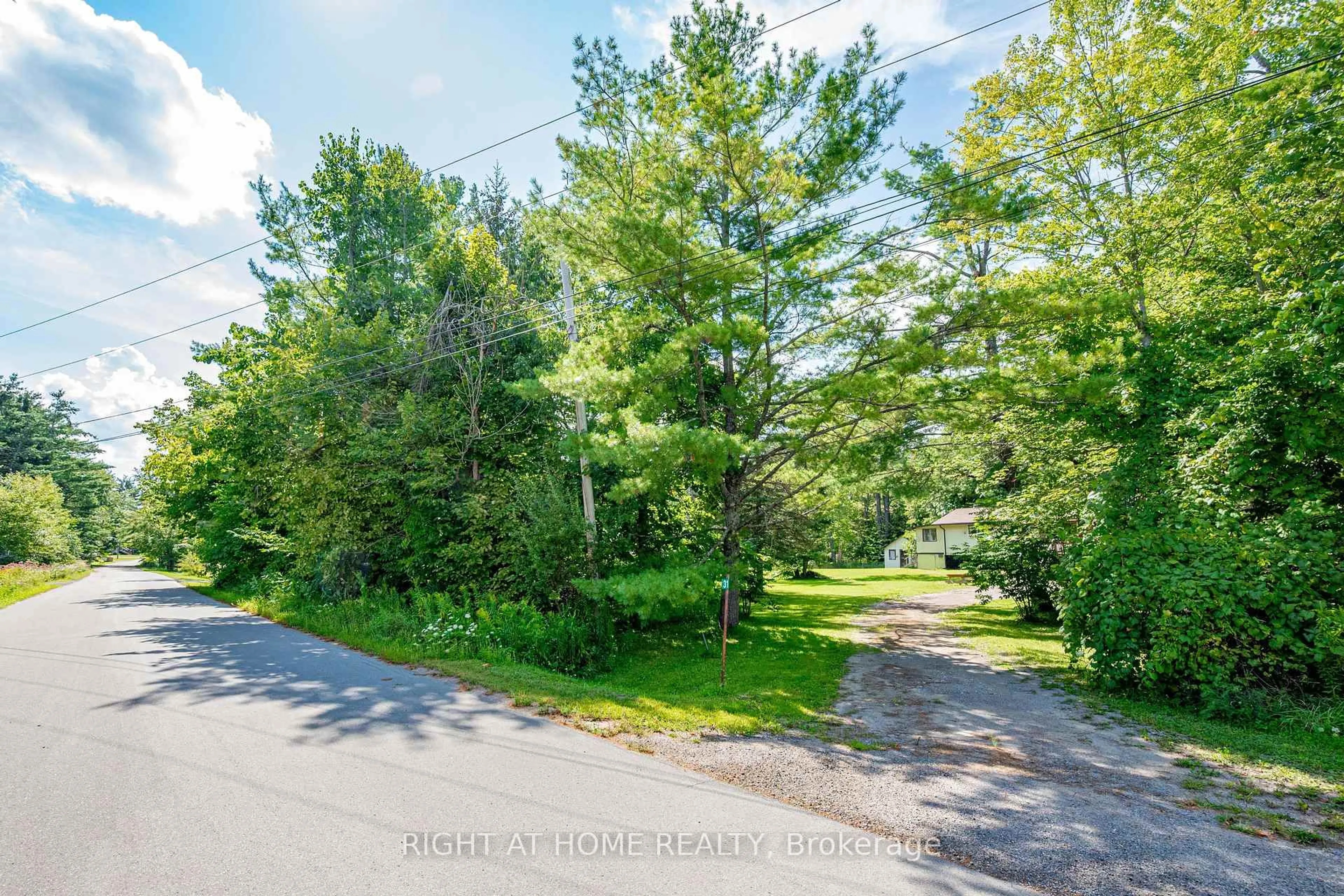 A pic from outside/outdoor area/front of a property/back of a property/a pic from drone, forest/trees view for 31 Morrison St, Kawartha Lakes Ontario K0M 2L0