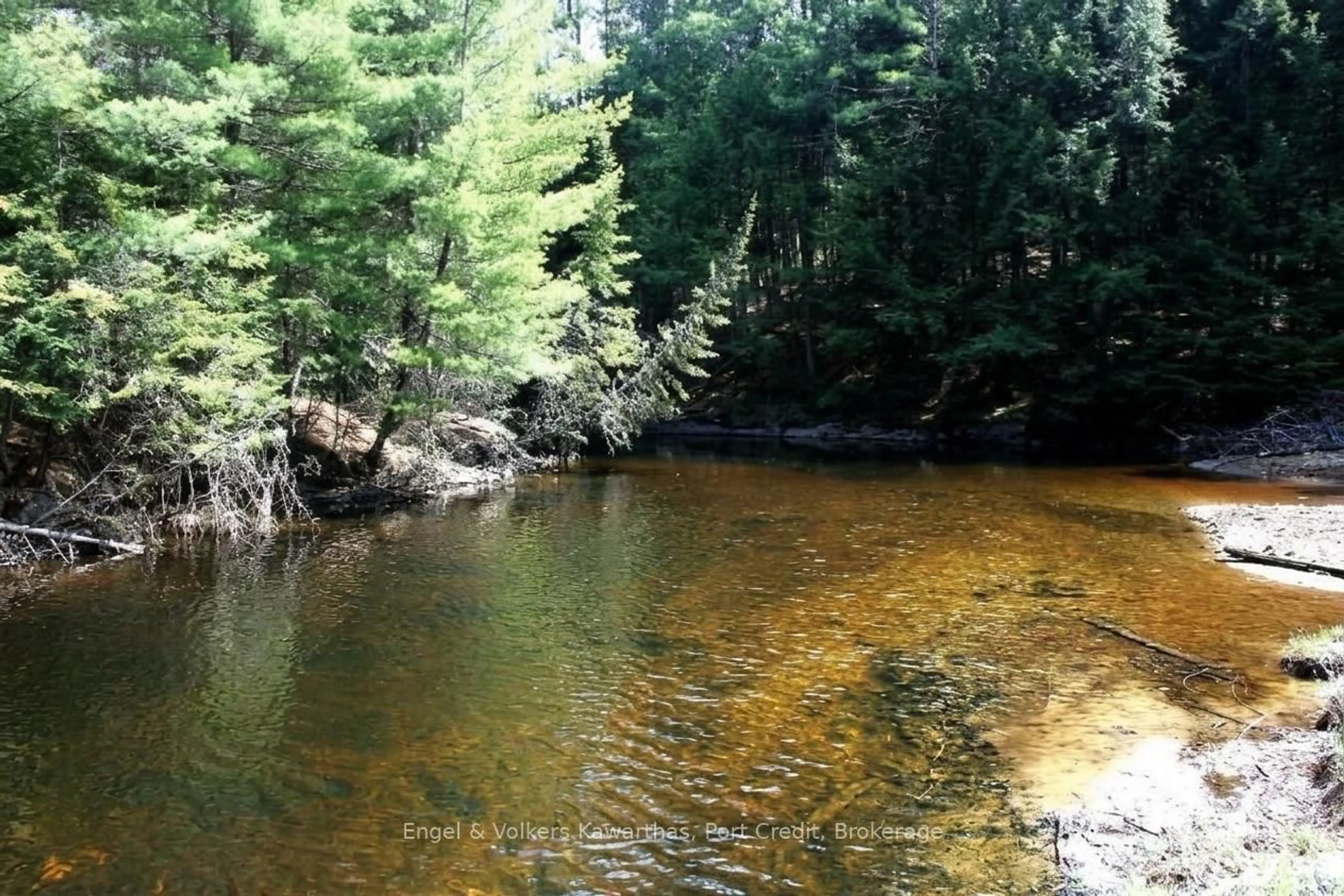 Blurry image for 8751 Hwy 28 Highway, North Kawartha Ontario K0L 1A0