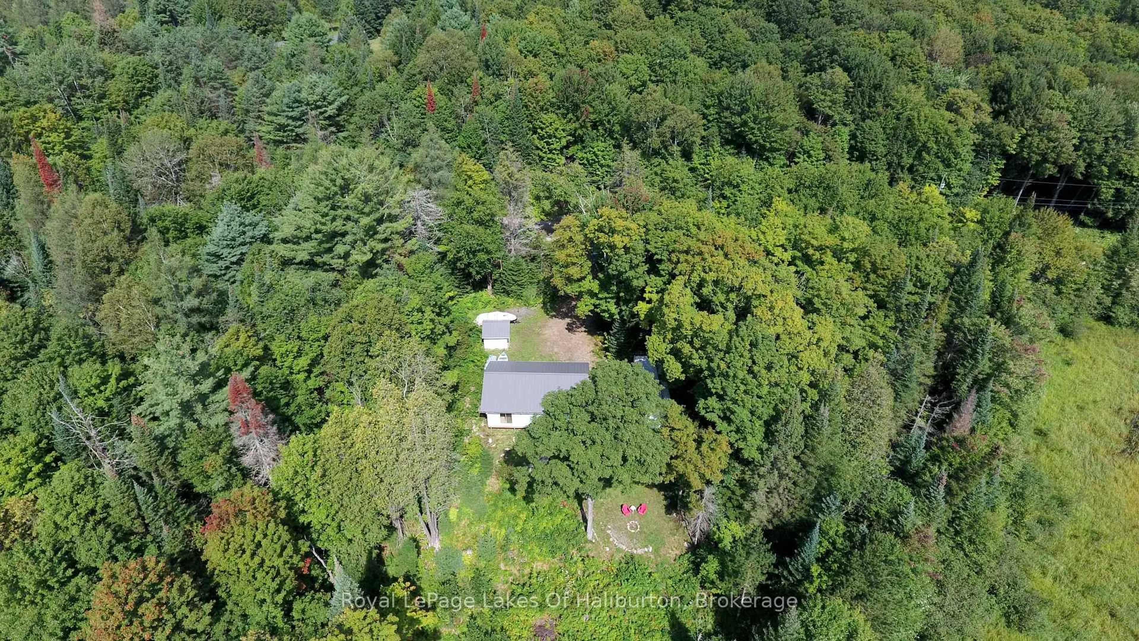 A pic from outside/outdoor area/front of a property/back of a property/a pic from drone, forest/trees view for 1337 Irish Line Rd, Dysart et al Ontario K0M 1S0