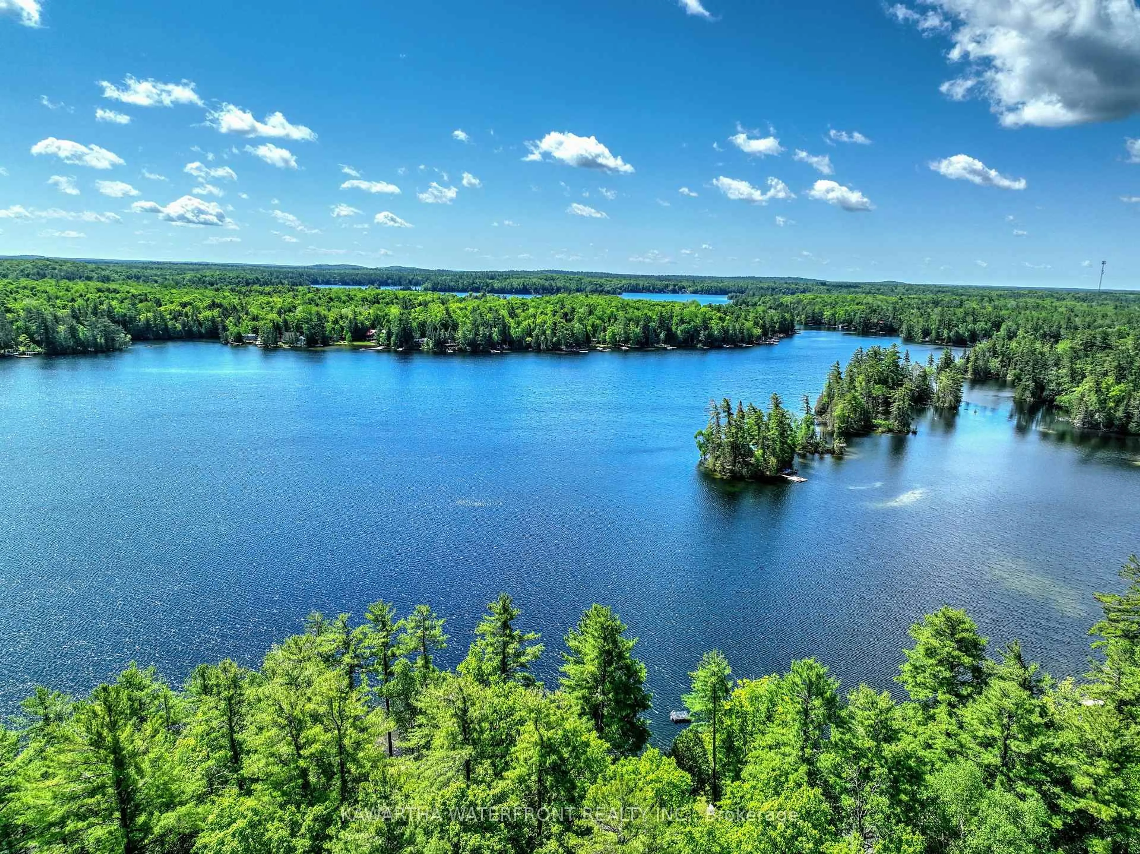 A pic from outside/outdoor area/front of a property/back of a property/a pic from drone, water/lake/river/ocean view for 93 West Clear Bay Rd, Trent Lakes Ontario K0M 2A0